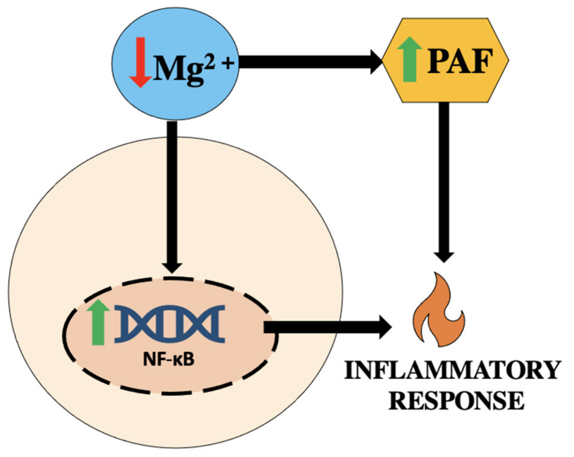 Biomedicines 11 01343 g002