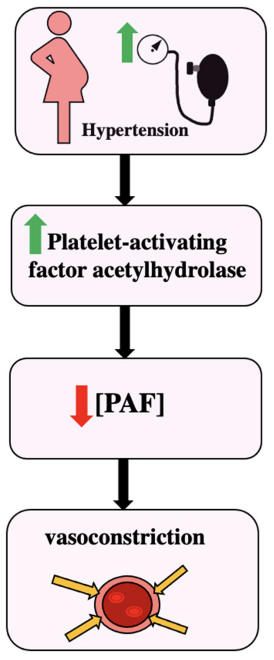 Biomedicines 11 01343 g003