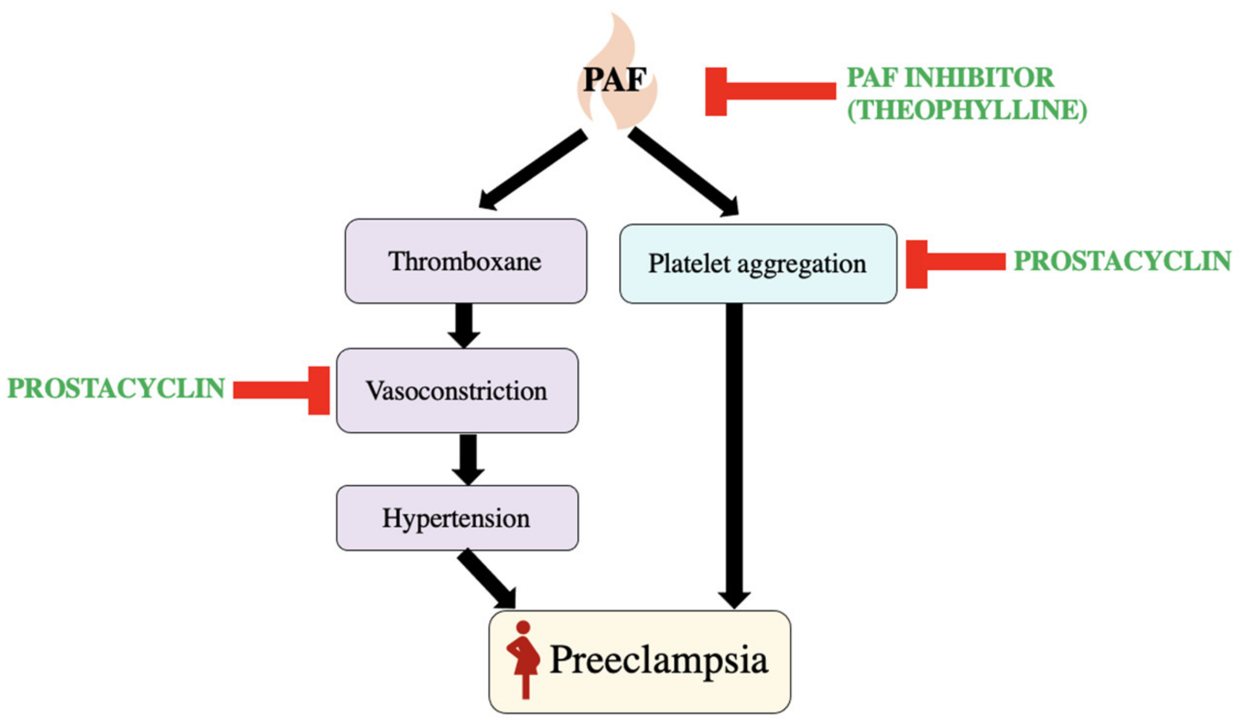 Biomedicines 11 01343 g005