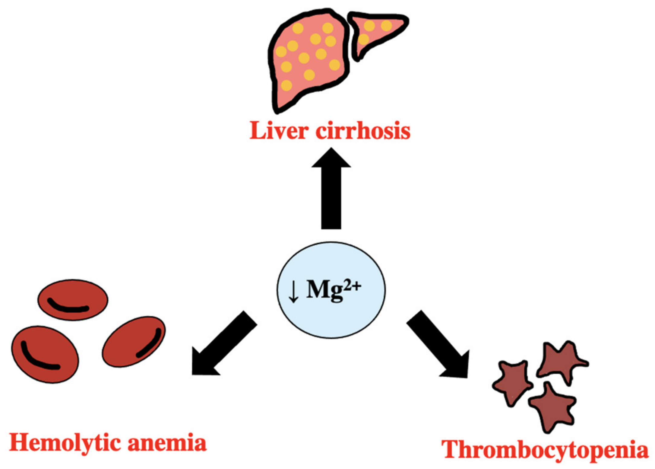 Biomedicines 11 01343 g007