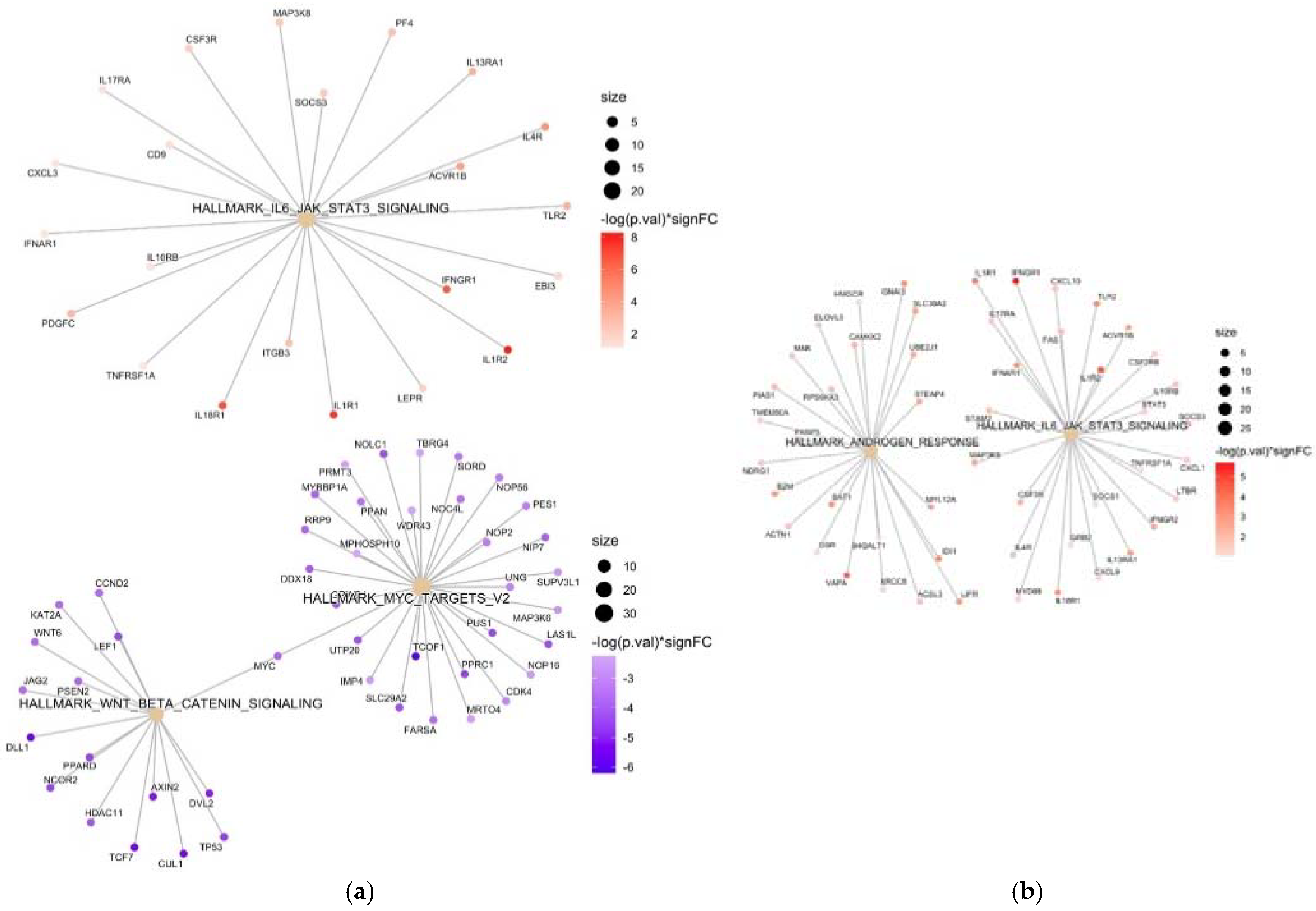 Biomedicines 11 01348 g004 Biomedicines 11 01348 g004