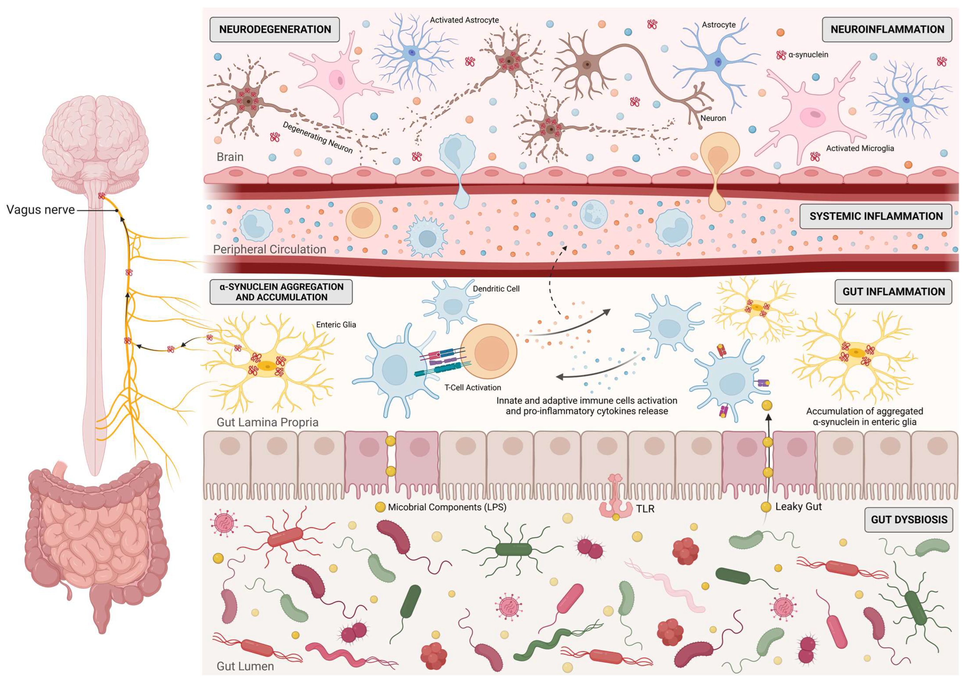 Biomedicines 11 01349 g002 Biomedicines 11 01349 g002