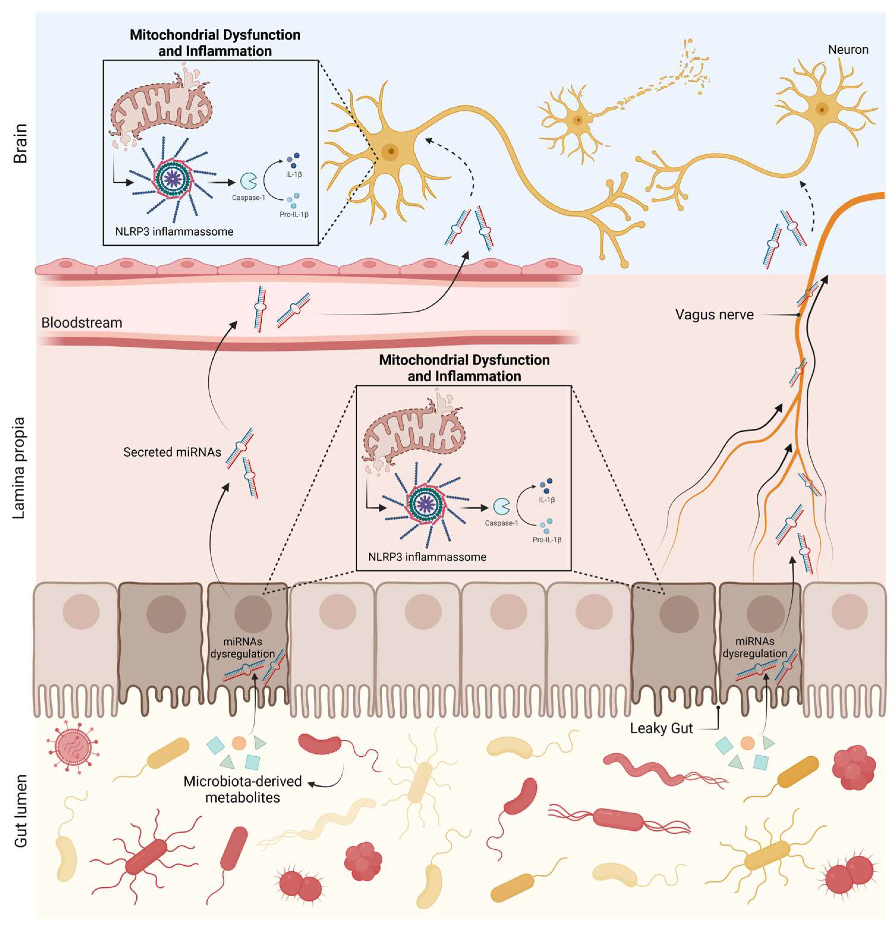 Biomedicines 11 01349 g005 Biomedicines 11 01349 g005