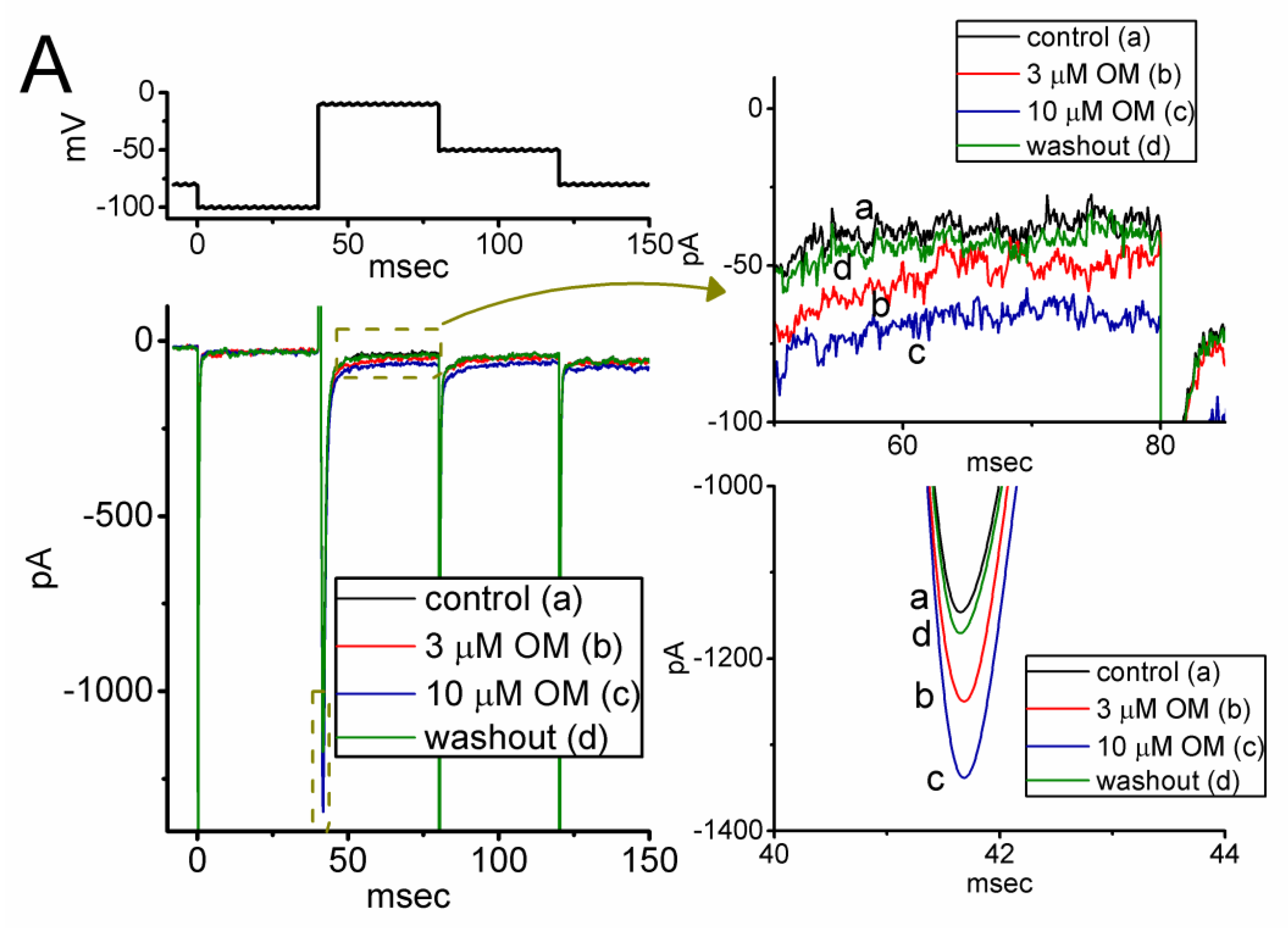 Biomedicines 11 01351 g001a Biomedicines 11 01351 g001a