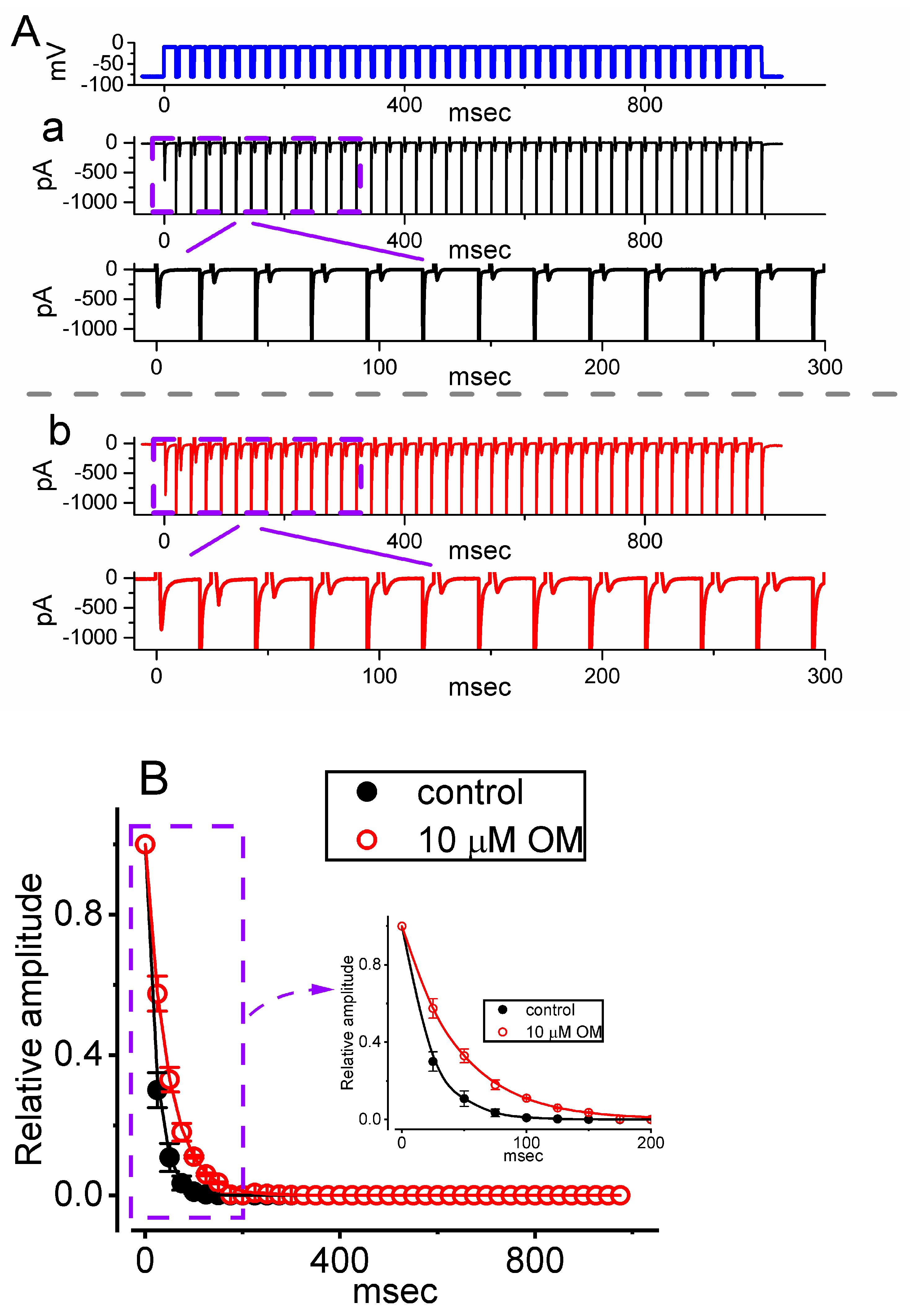 Biomedicines 11 01351 g003 Biomedicines 11 01351 g003