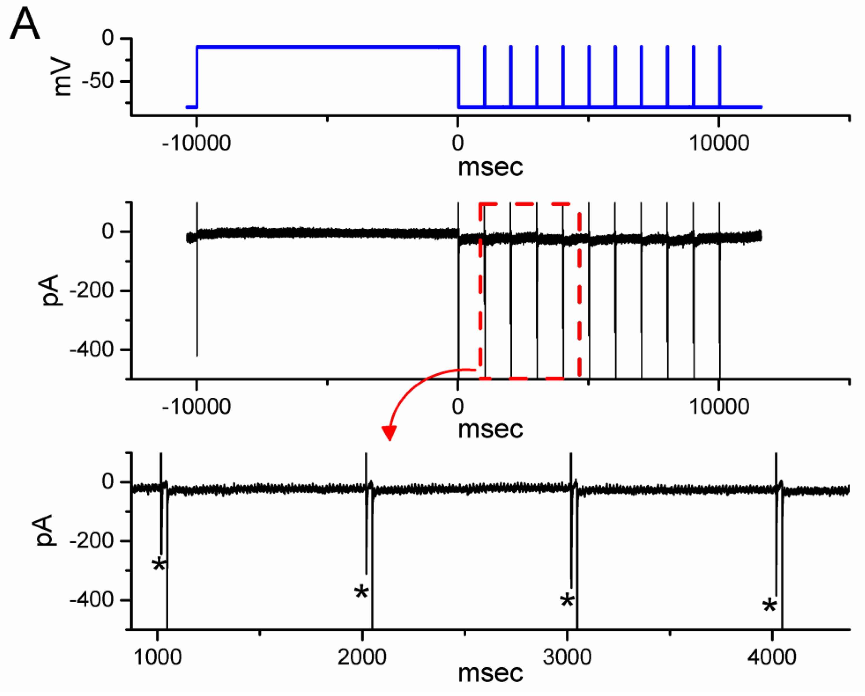 Biomedicines 11 01351 g004a Biomedicines 11 01351 g004a