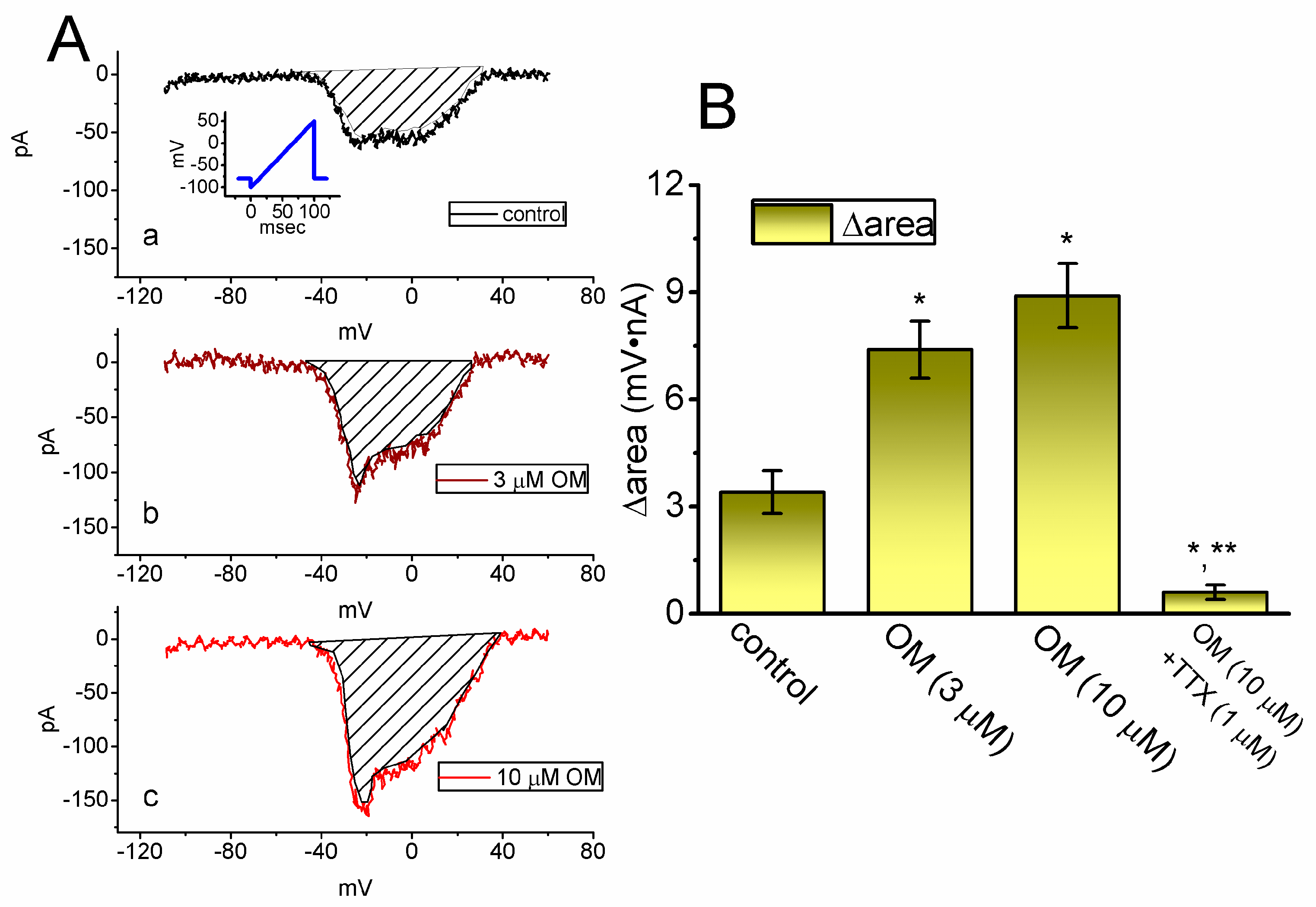 Biomedicines 11 01351 g005 Biomedicines 11 01351 g005