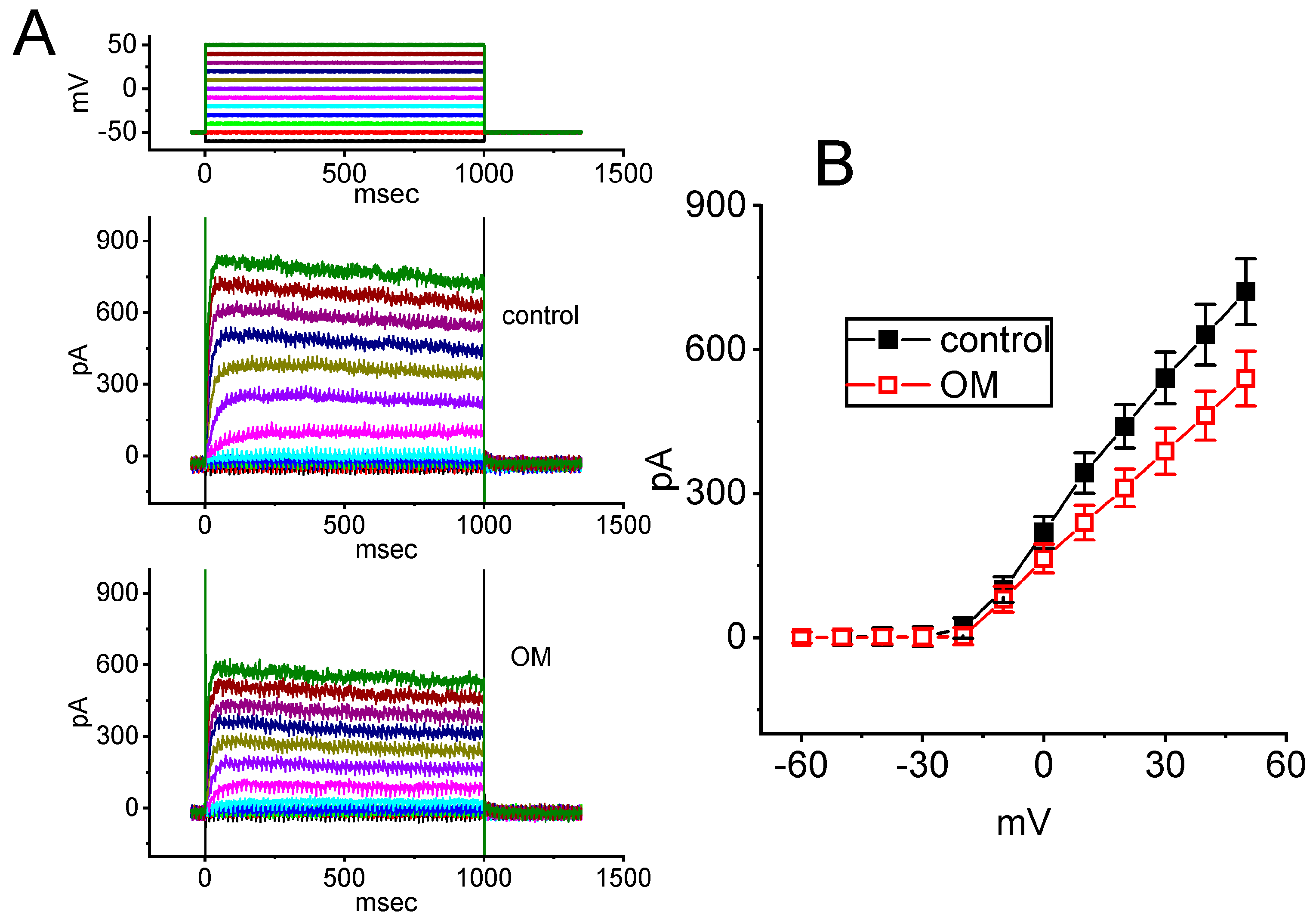 Biomedicines 11 01351 g007 Biomedicines 11 01351 g007