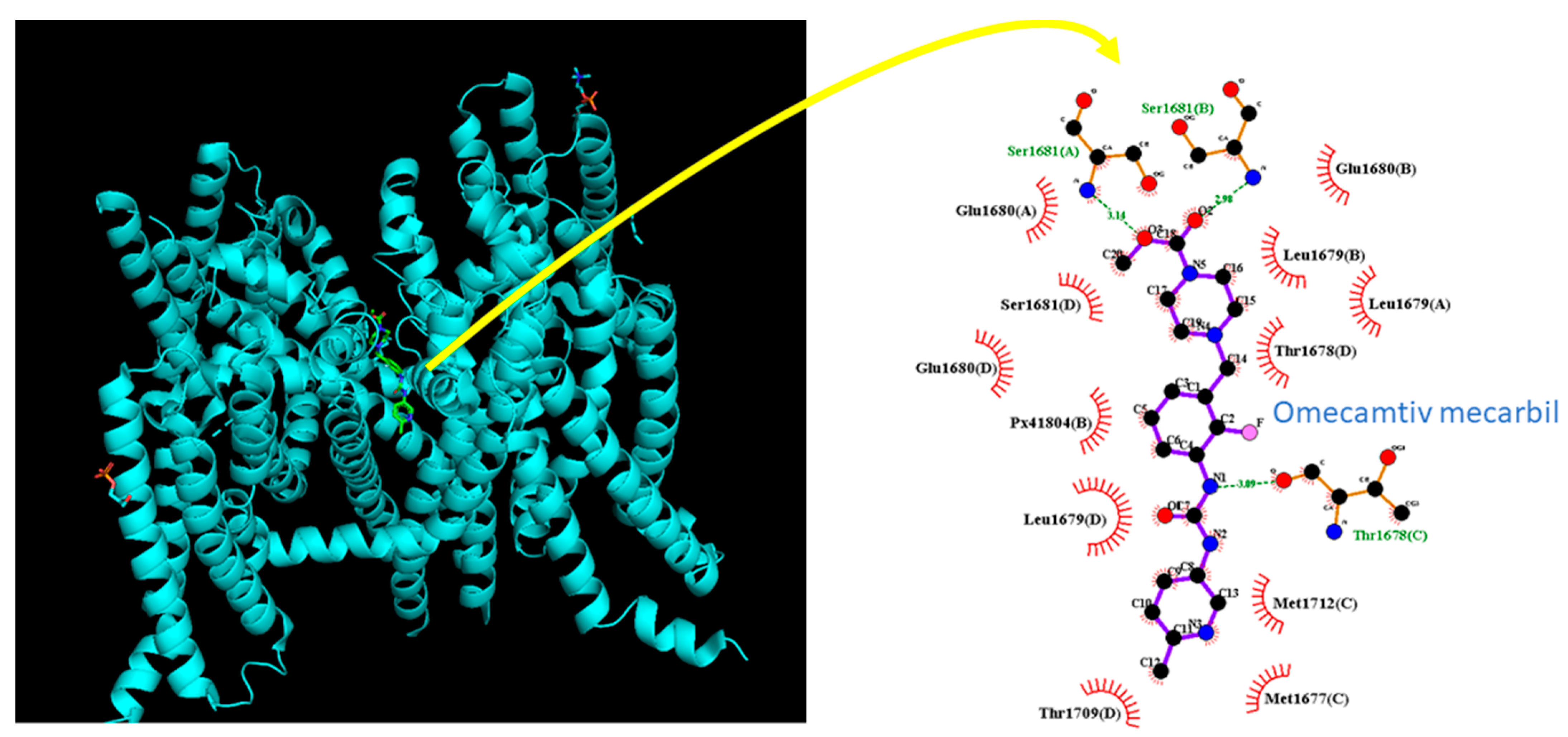 Biomedicines 11 01351 g009 Biomedicines 11 01351 g009