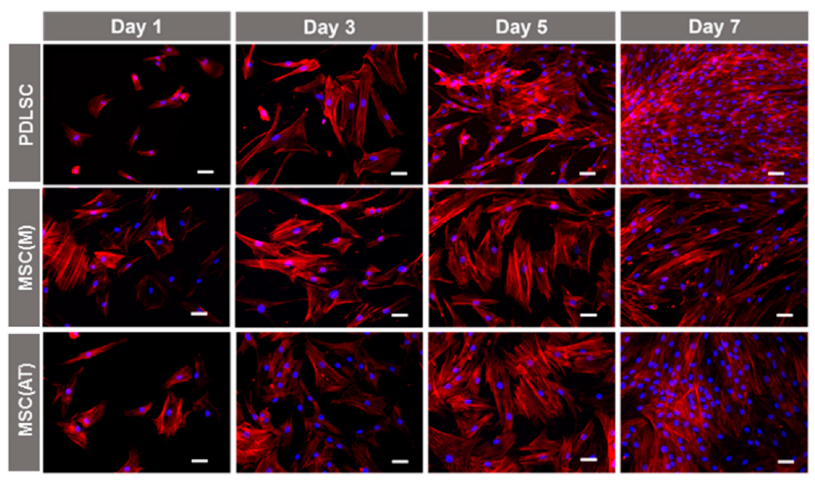 Biomedicines 11 01352 g002 Biomedicines 11 01352 g002
