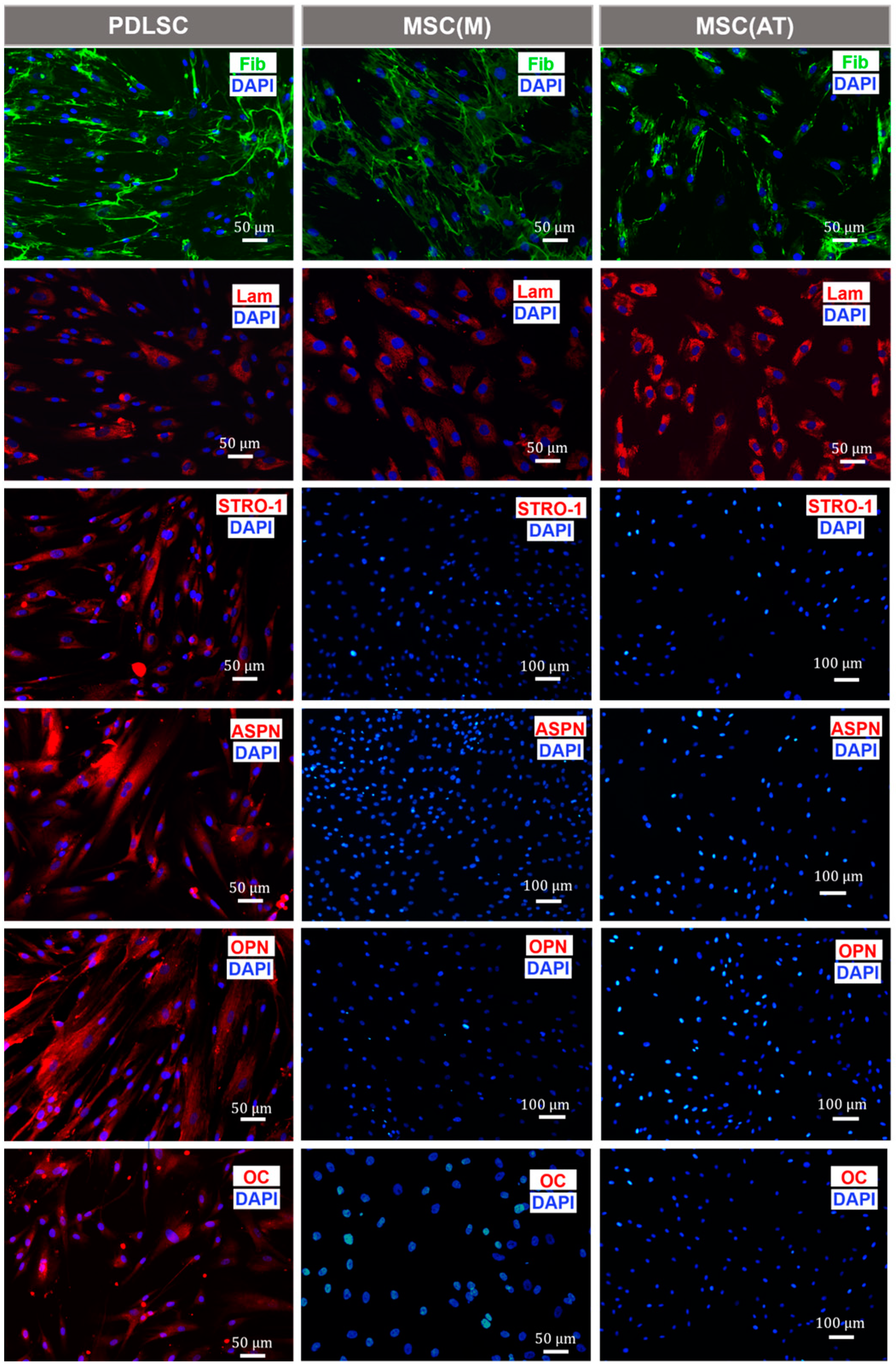 Biomedicines 11 01352 g003 Biomedicines 11 01352 g003