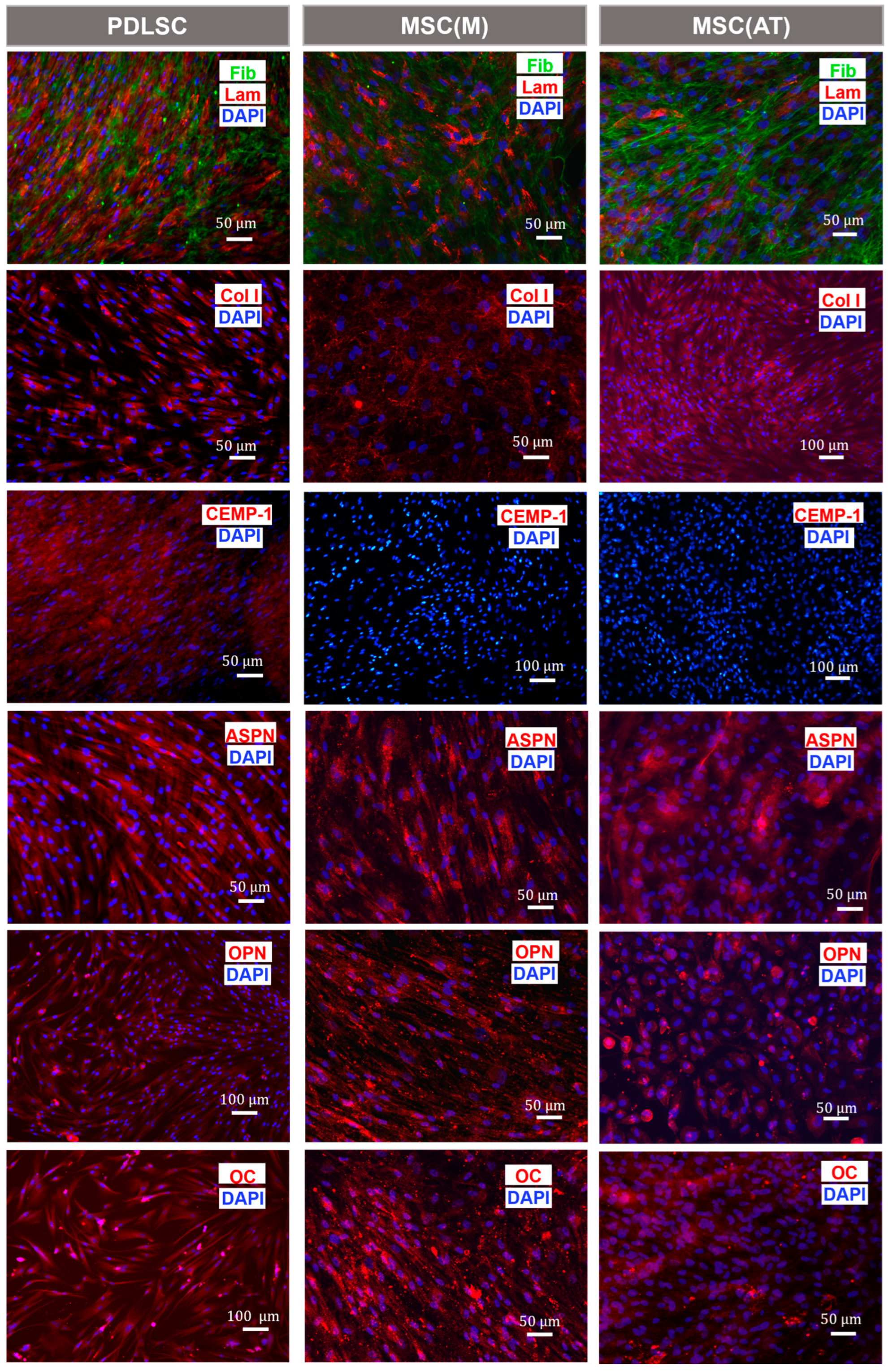 Biomedicines 11 01352 g008 Biomedicines 11 01352 g008