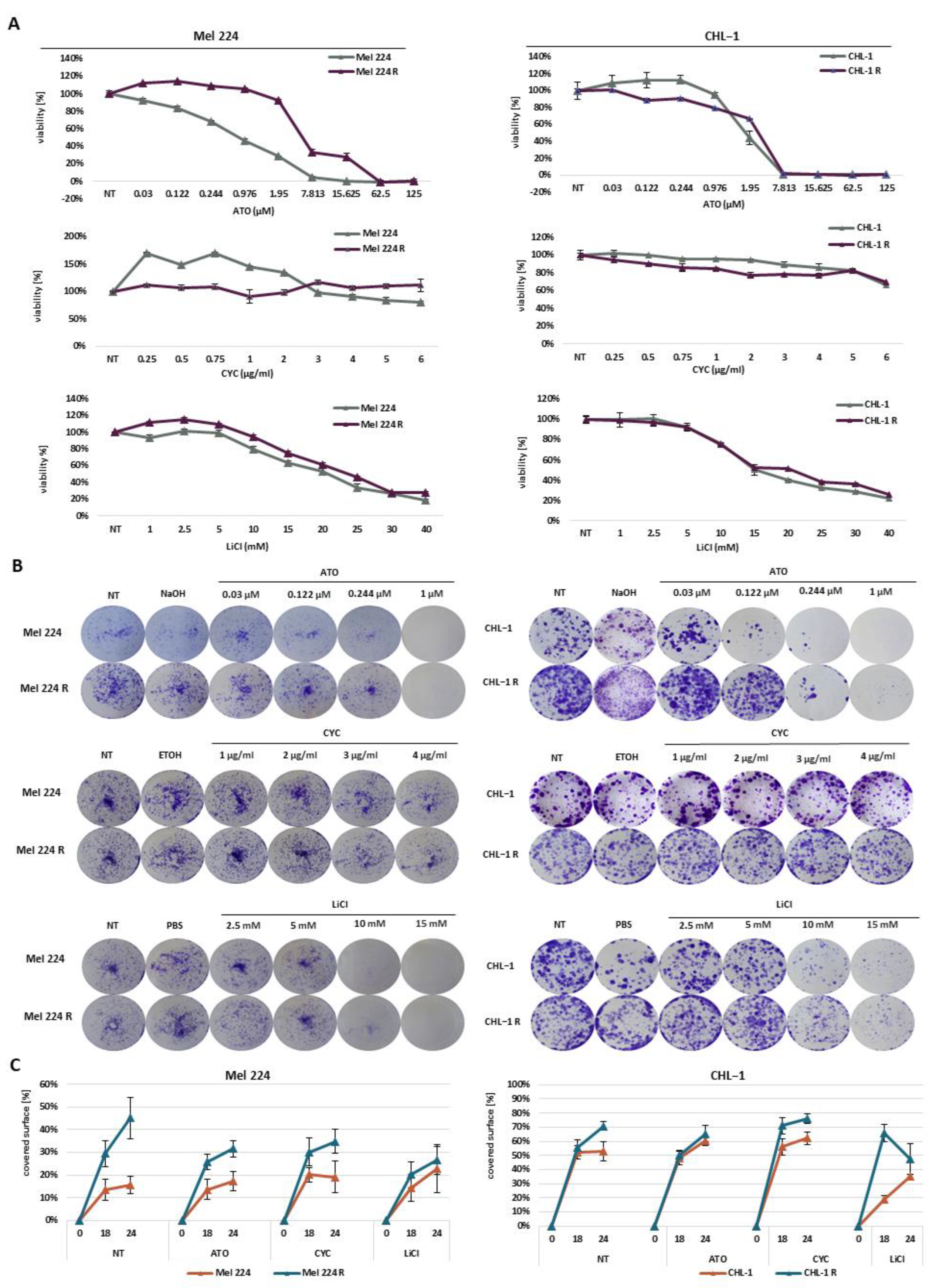 Biomedicines 11 01353 g003