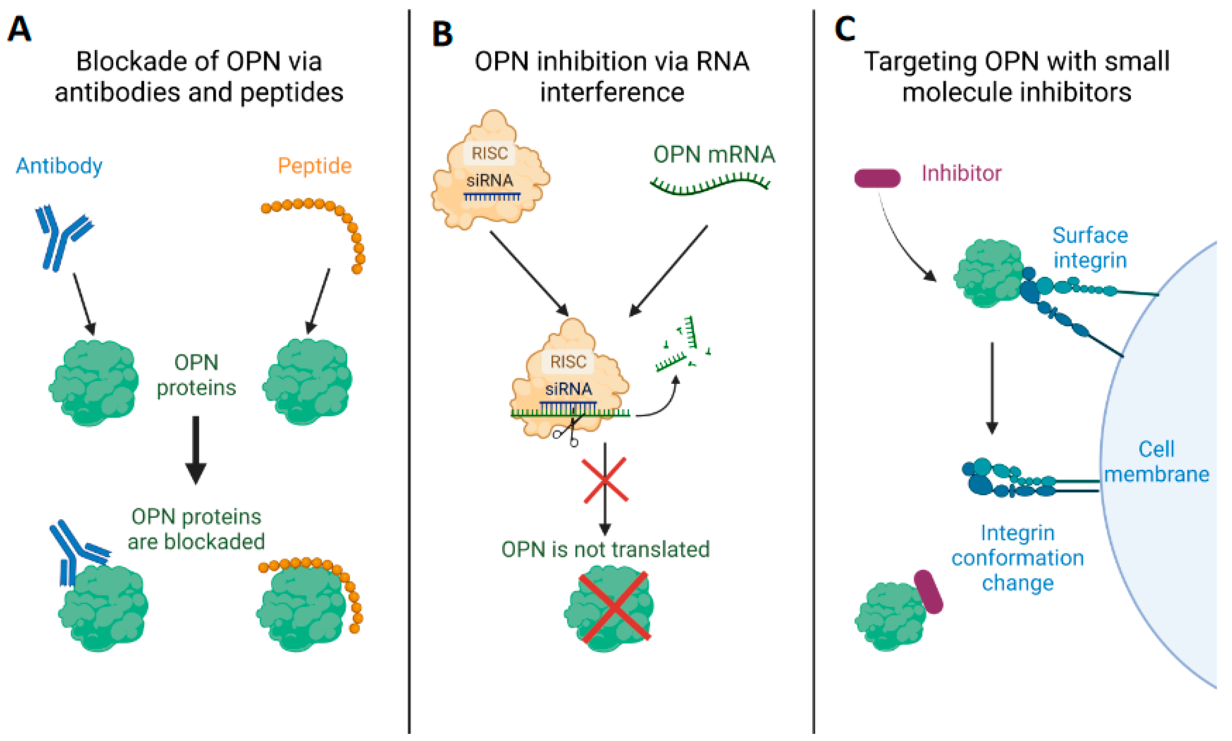 Biomedicines 11 01356 g003
