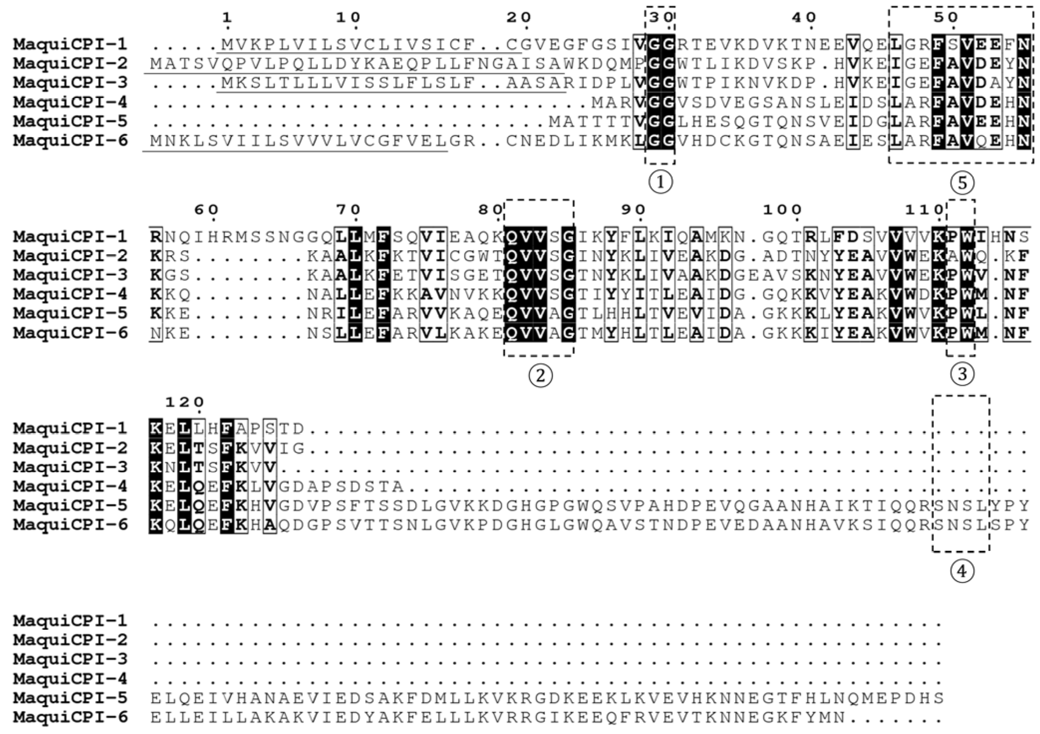 Biomedicines 11 01360 g001