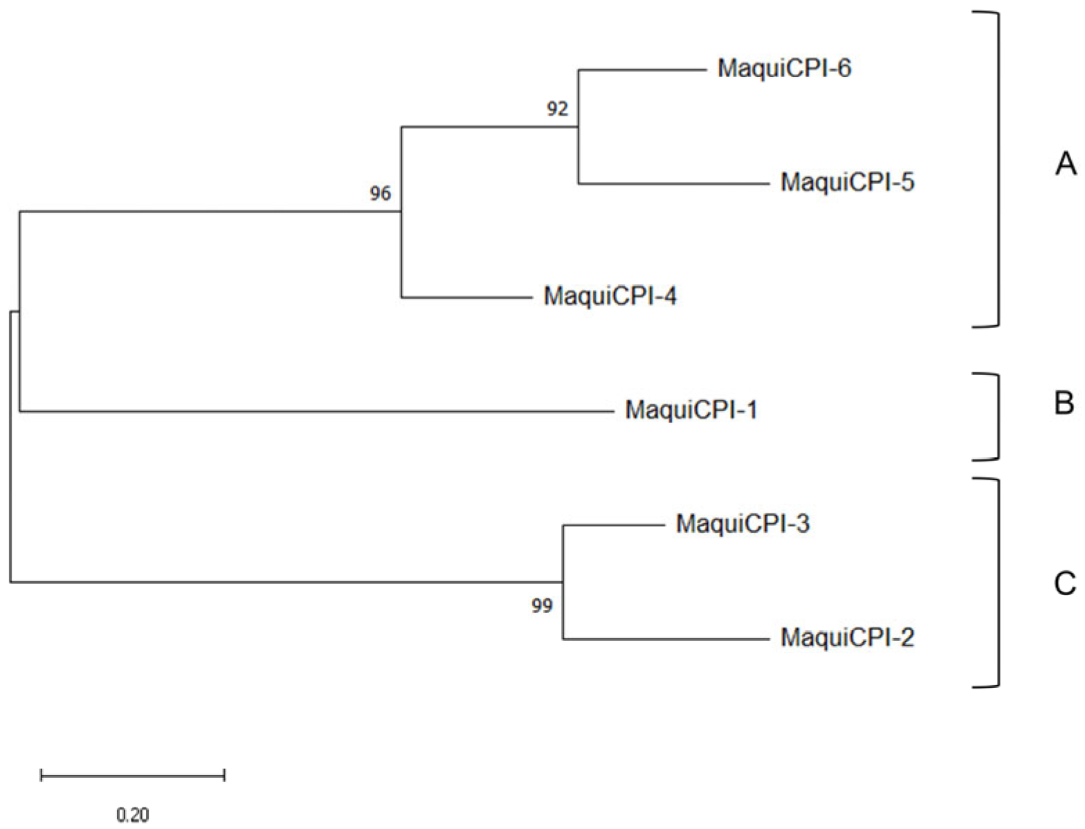 Biomedicines 11 01360 g002