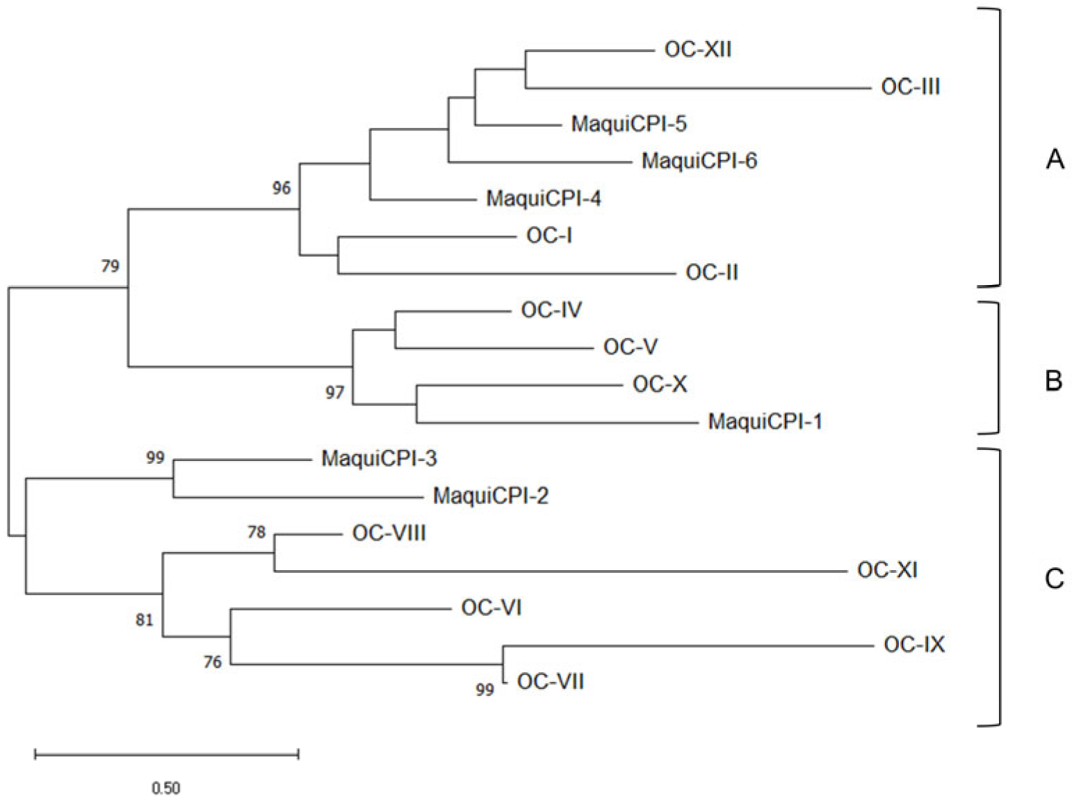 Biomedicines 11 01360 g003