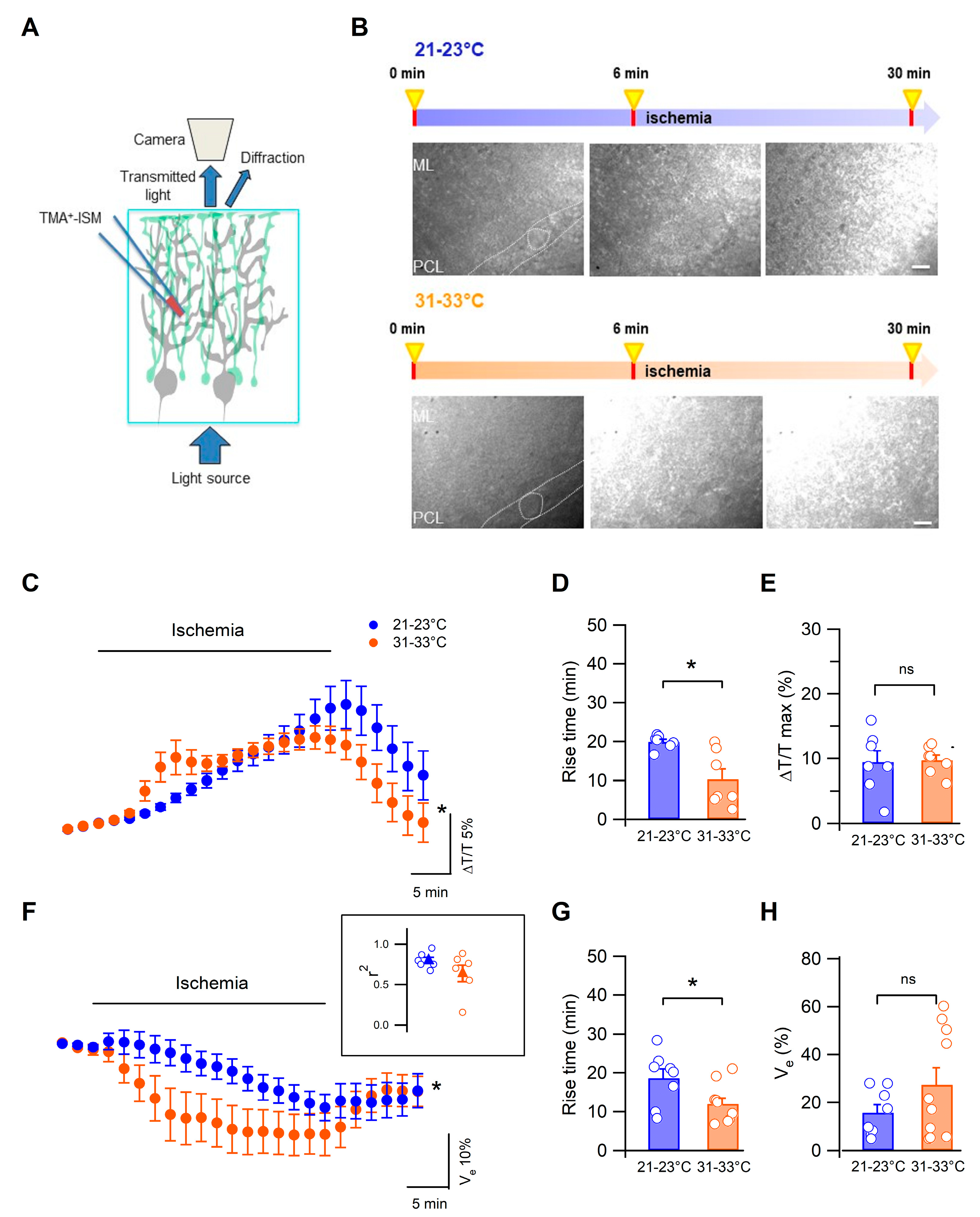 Biomedicines 11 01363 g001 Biomedicines 11 01363 g001