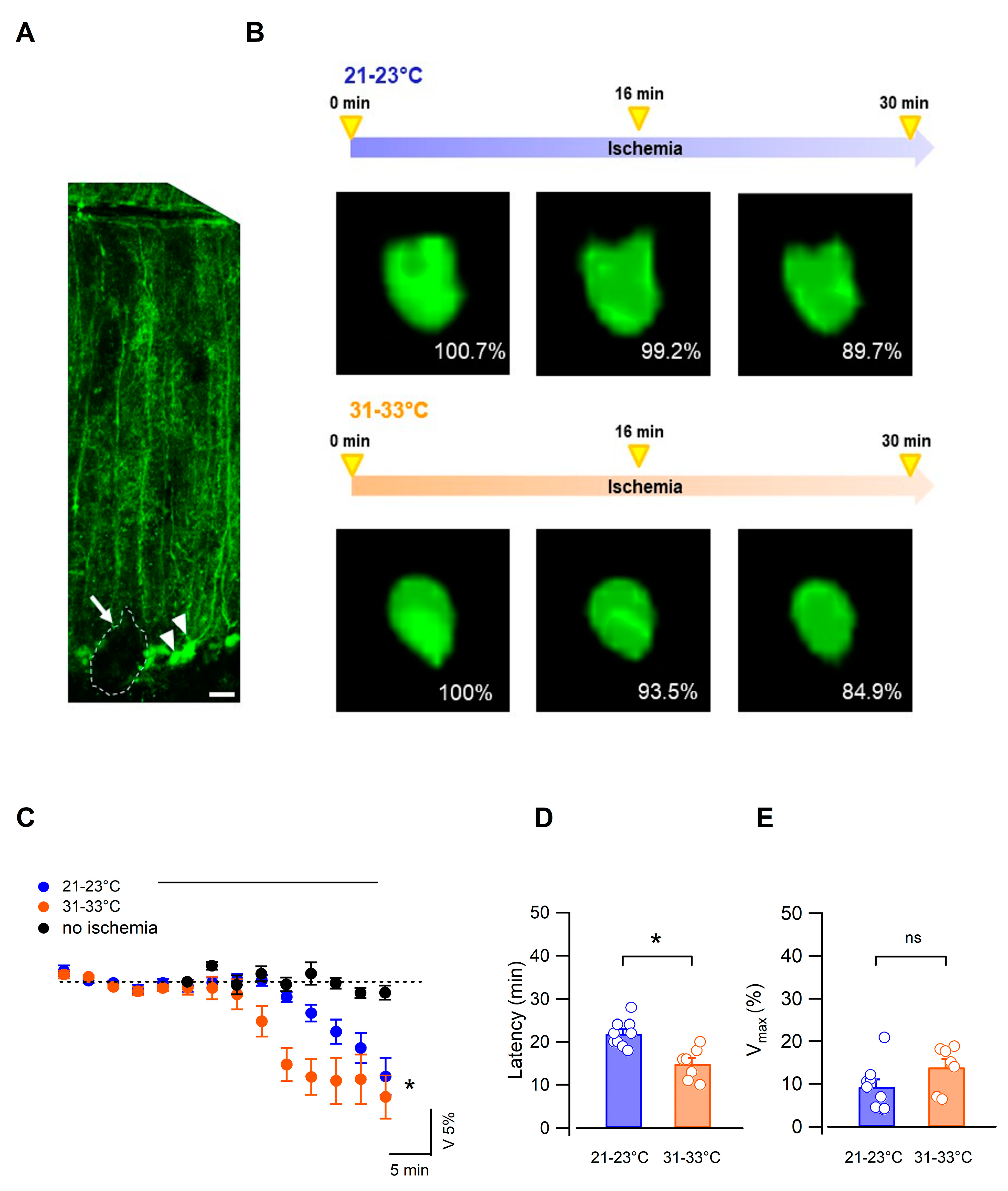 Biomedicines 11 01363 g002 Biomedicines 11 01363 g002