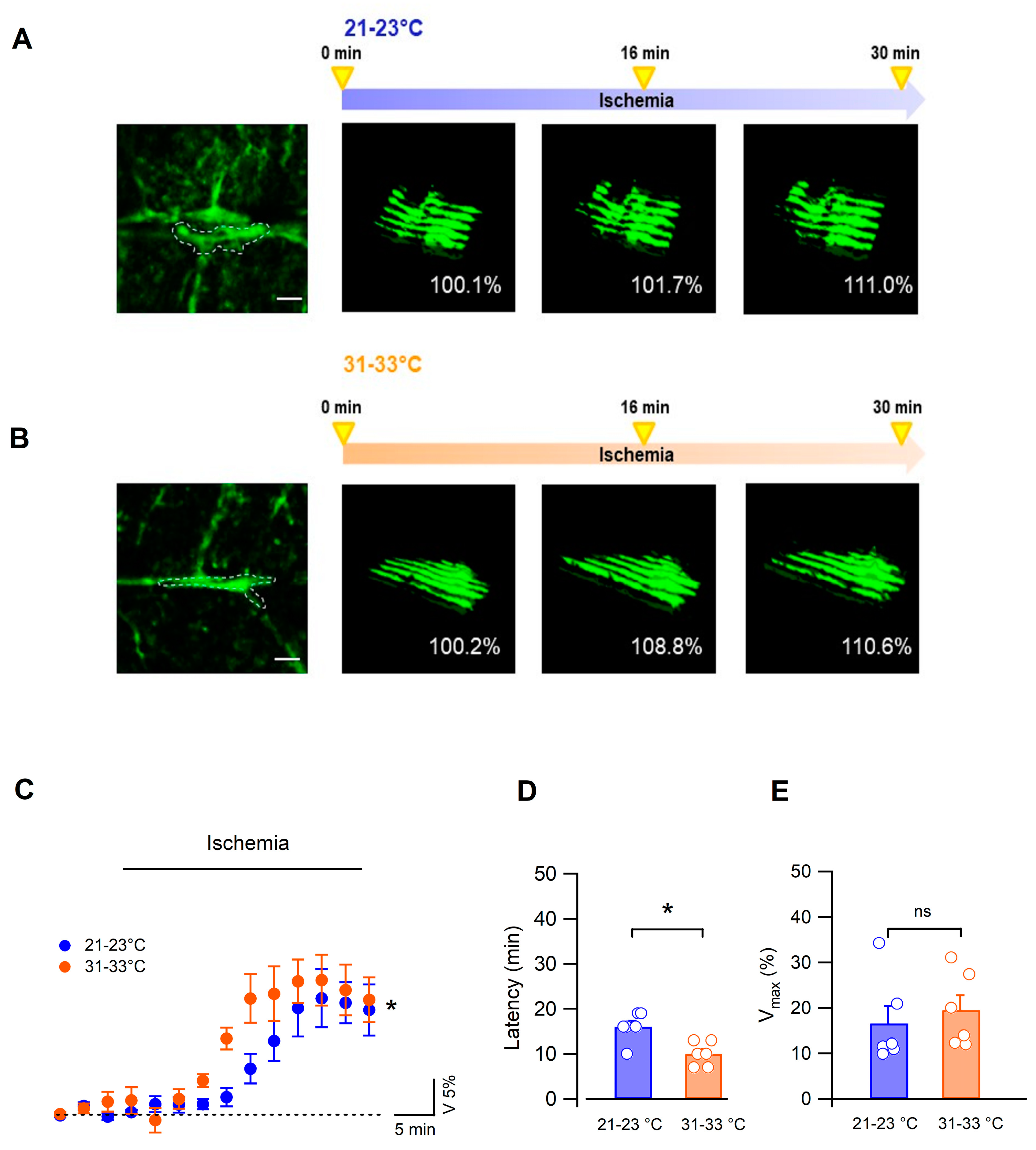 Biomedicines 11 01363 g003 Biomedicines 11 01363 g003