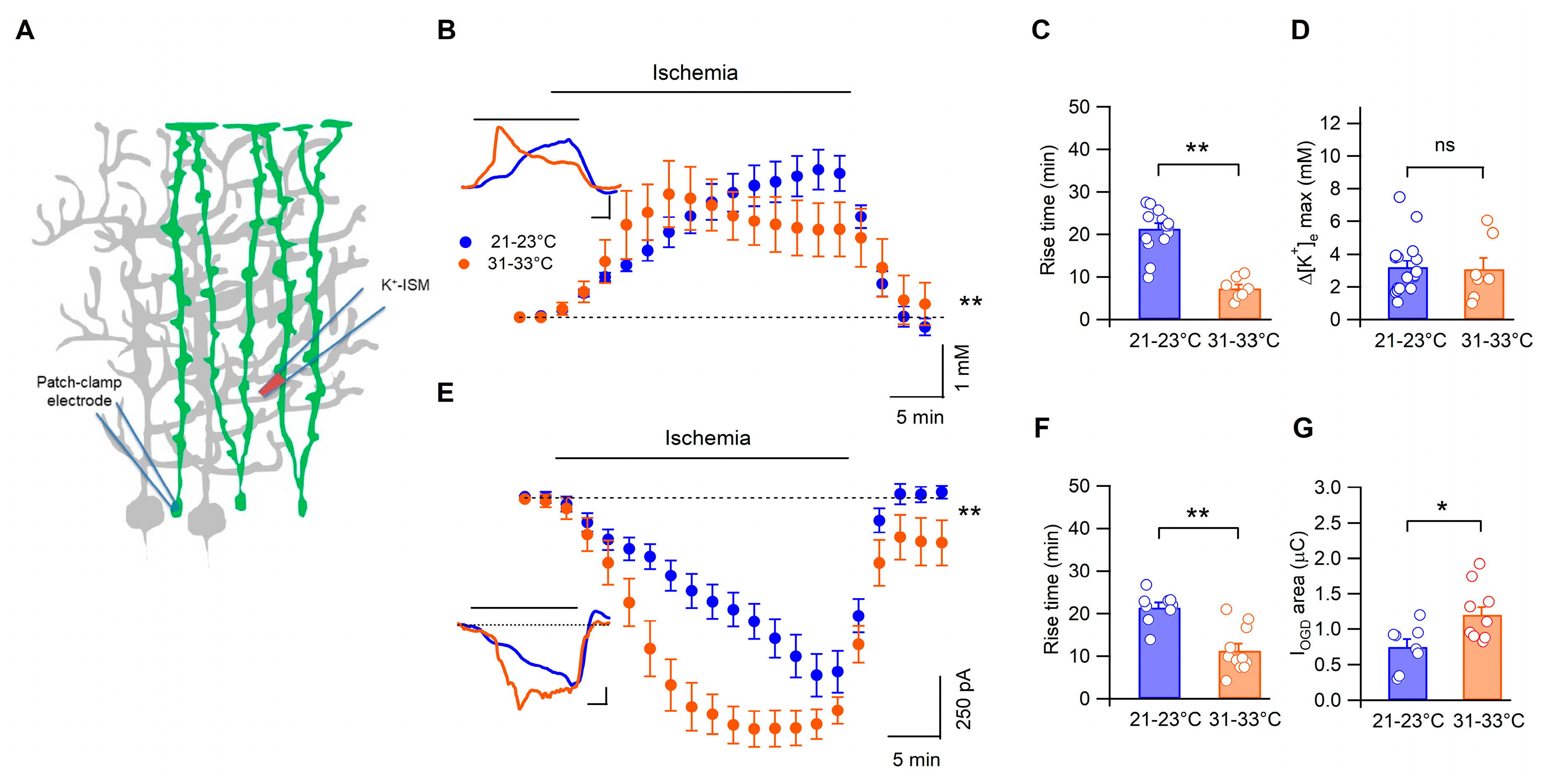 Biomedicines 11 01363 g004 Biomedicines 11 01363 g004