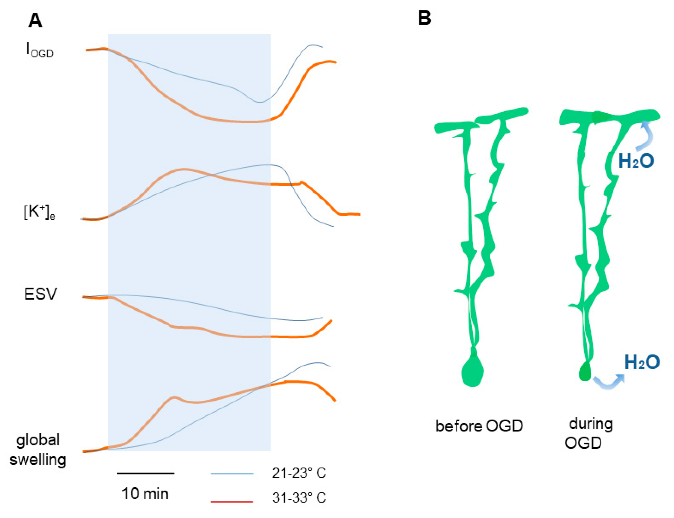 Biomedicines 11 01363 g005 Biomedicines 11 01363 g005