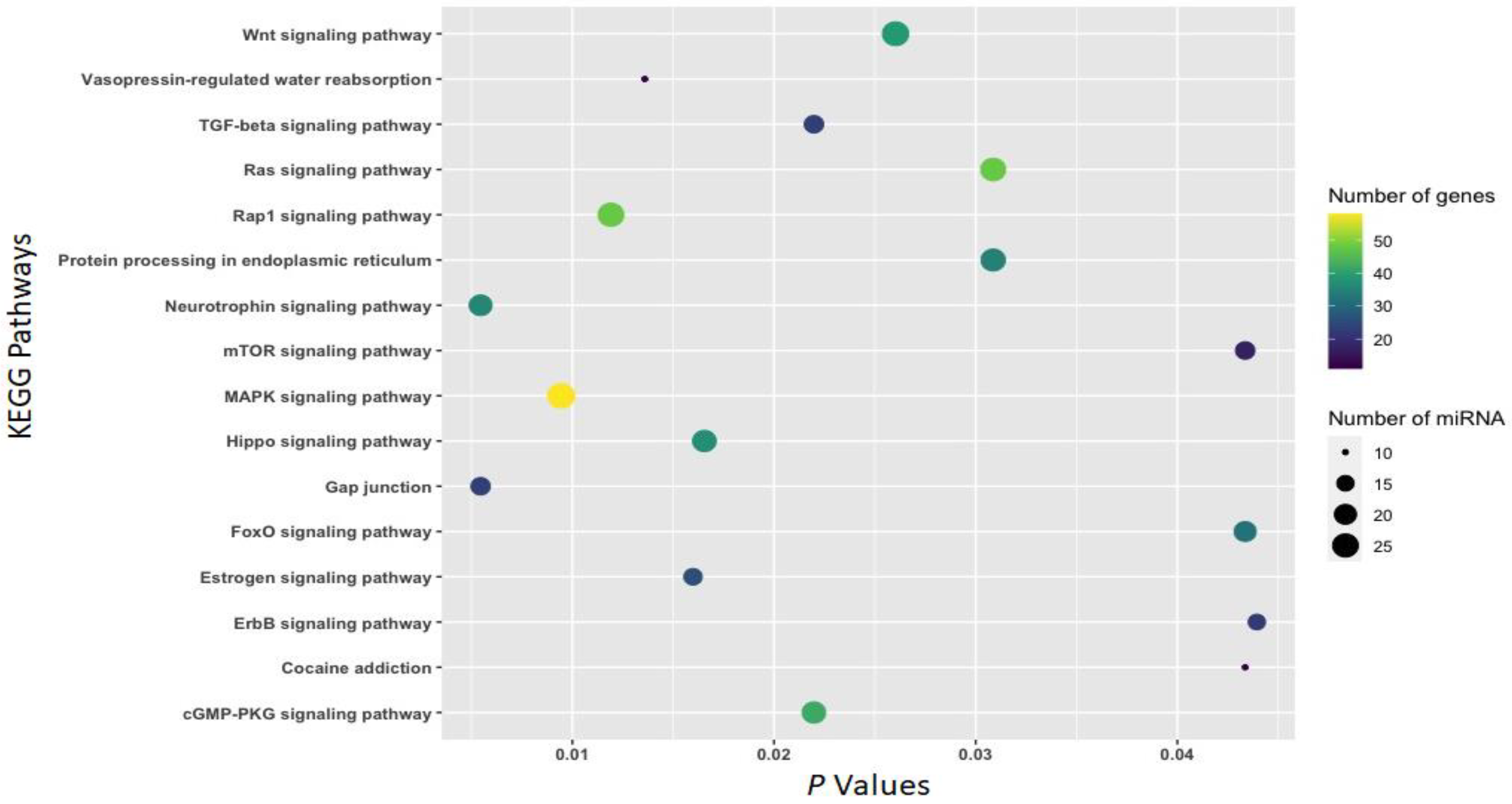 Biomedicines 11 01368 g004 Biomedicines 11 01368 g004