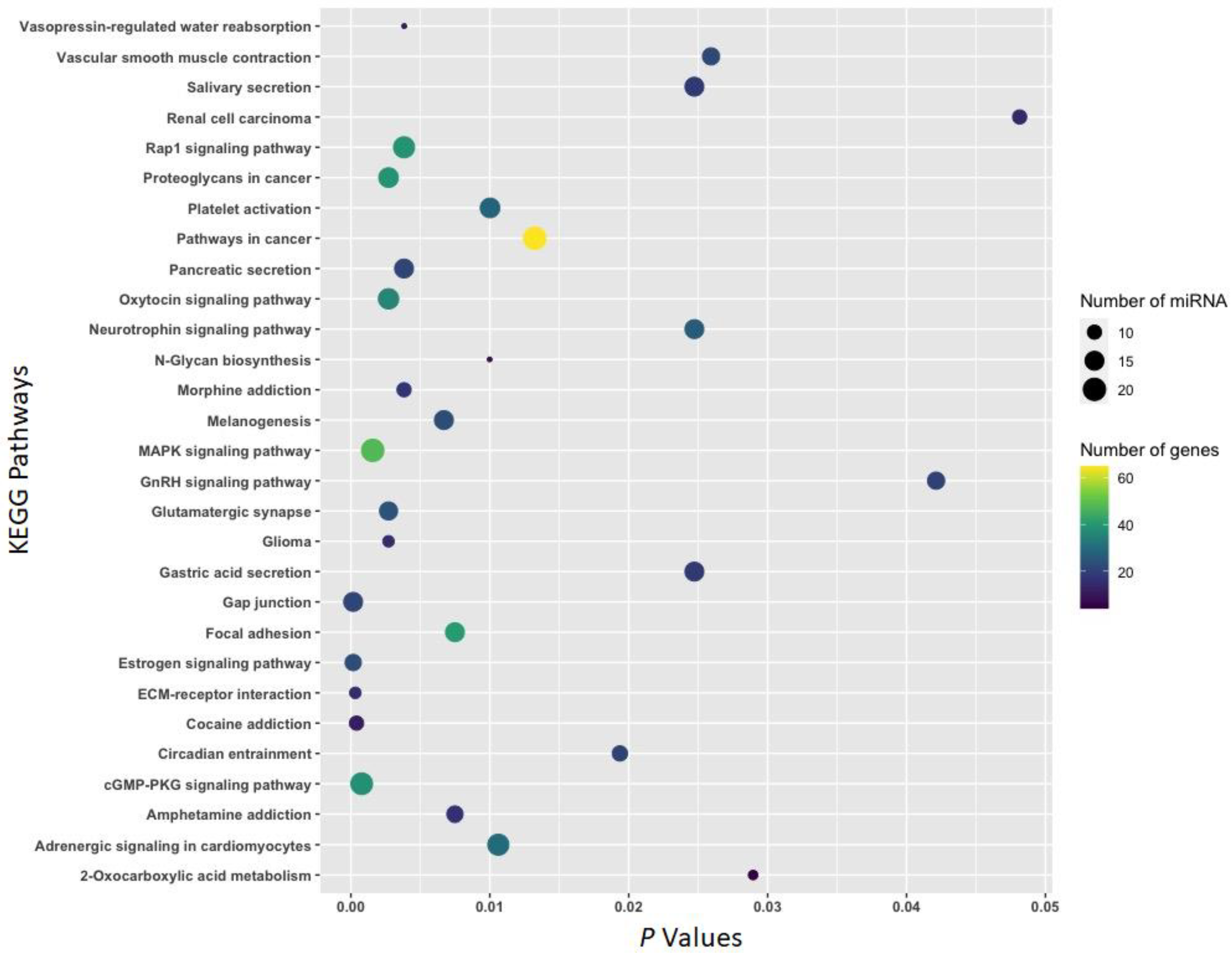 Biomedicines 11 01368 g005 Biomedicines 11 01368 g005