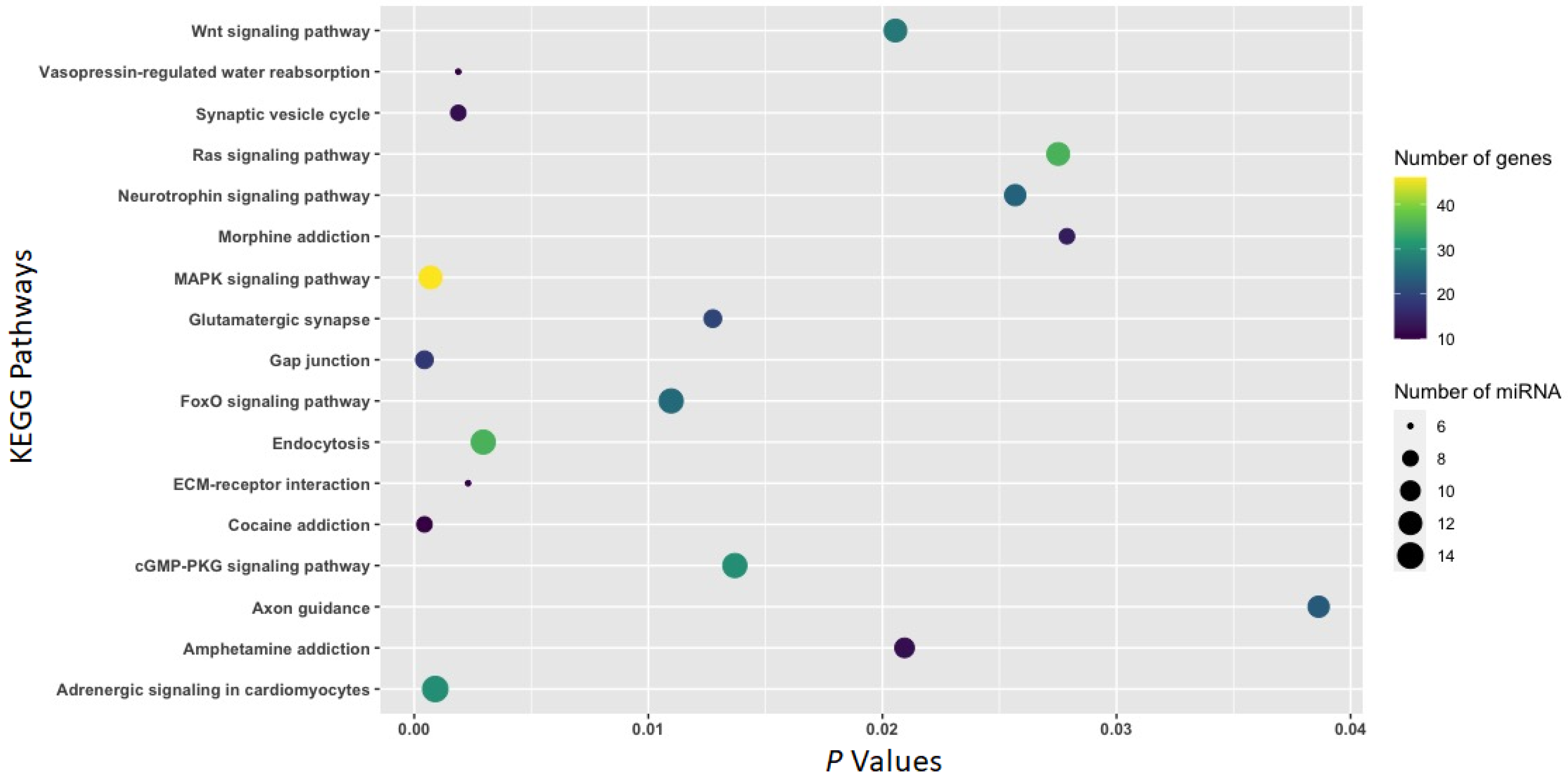 Biomedicines 11 01368 g006 Biomedicines 11 01368 g006