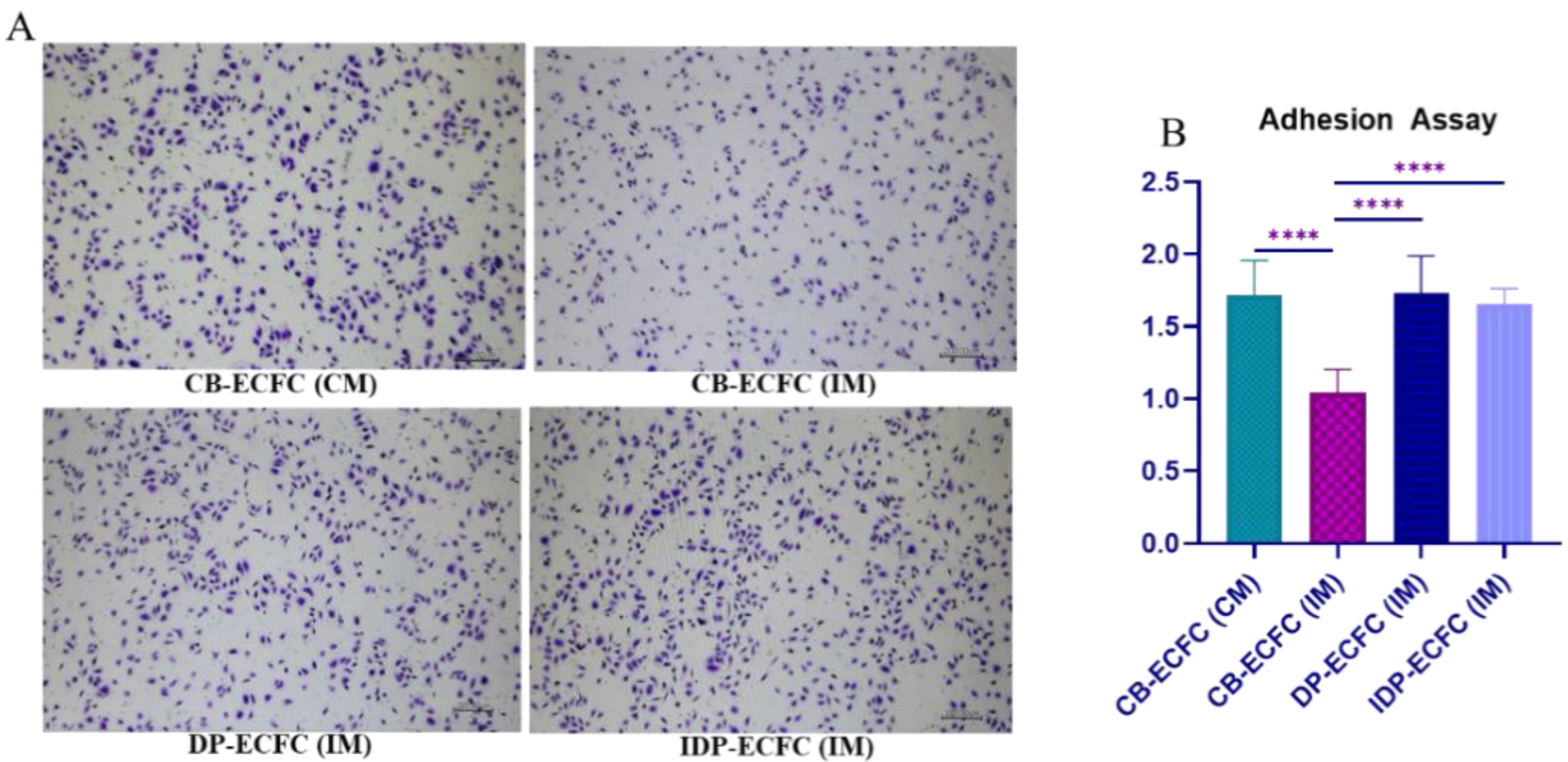 Biomedicines 11 01372 g004 Biomedicines 11 01372 g004