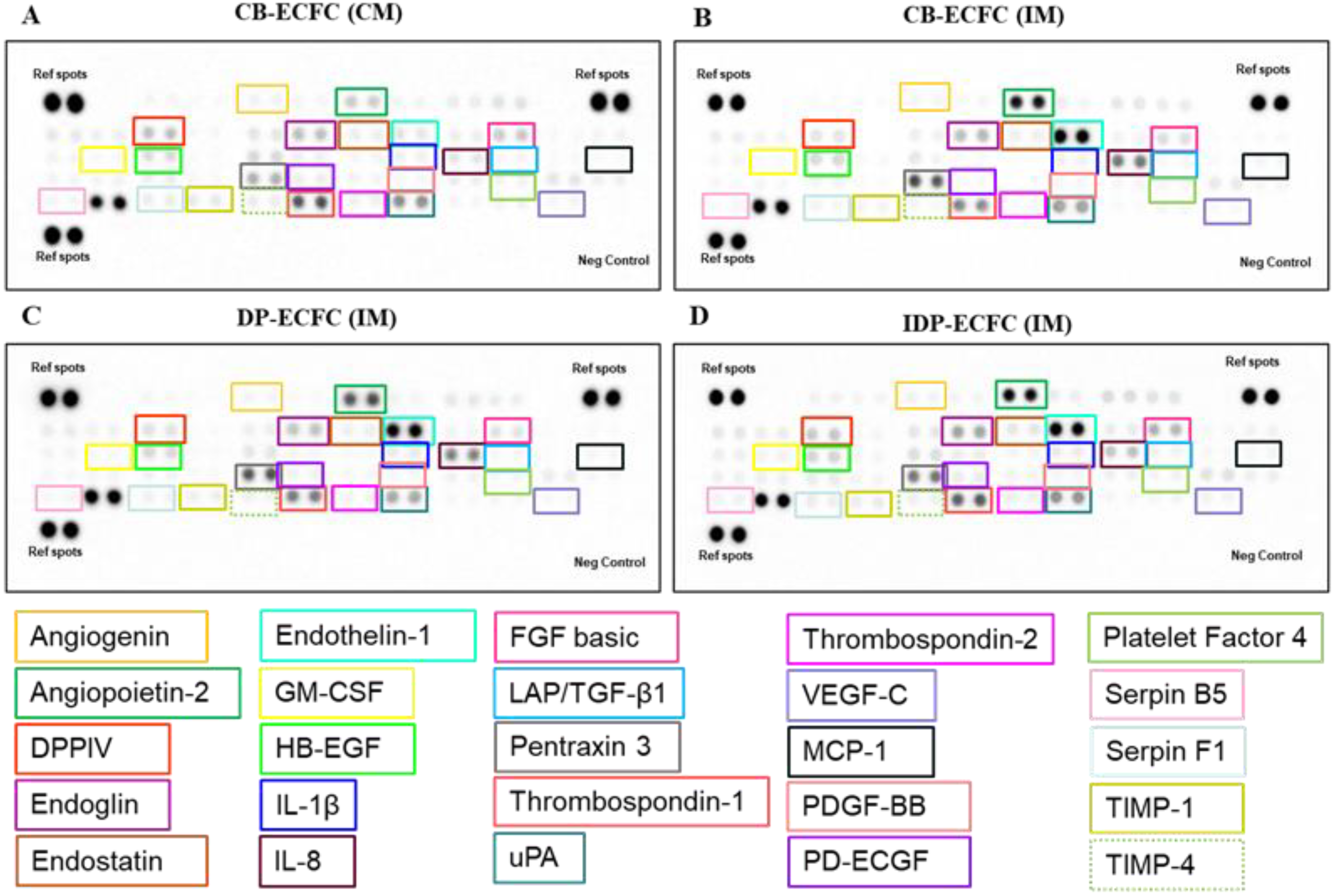 Biomedicines 11 01372 g009 Biomedicines 11 01372 g009