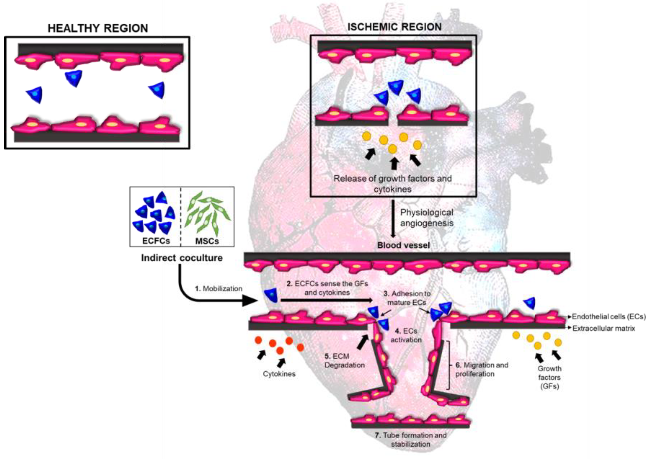 Biomedicines 11 01372 g012 Biomedicines 11 01372 g012