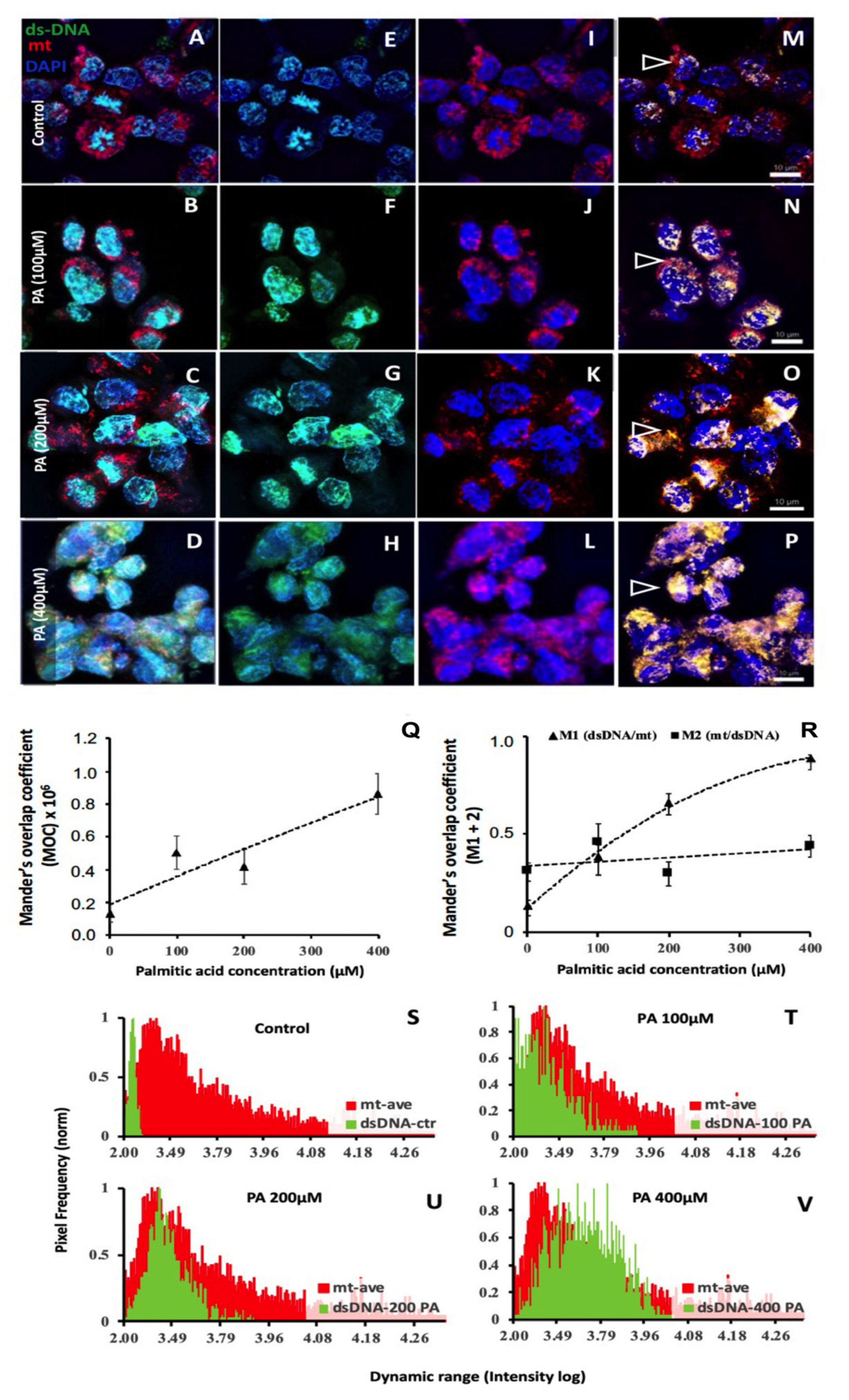 Biomedicines 11 01375 g006