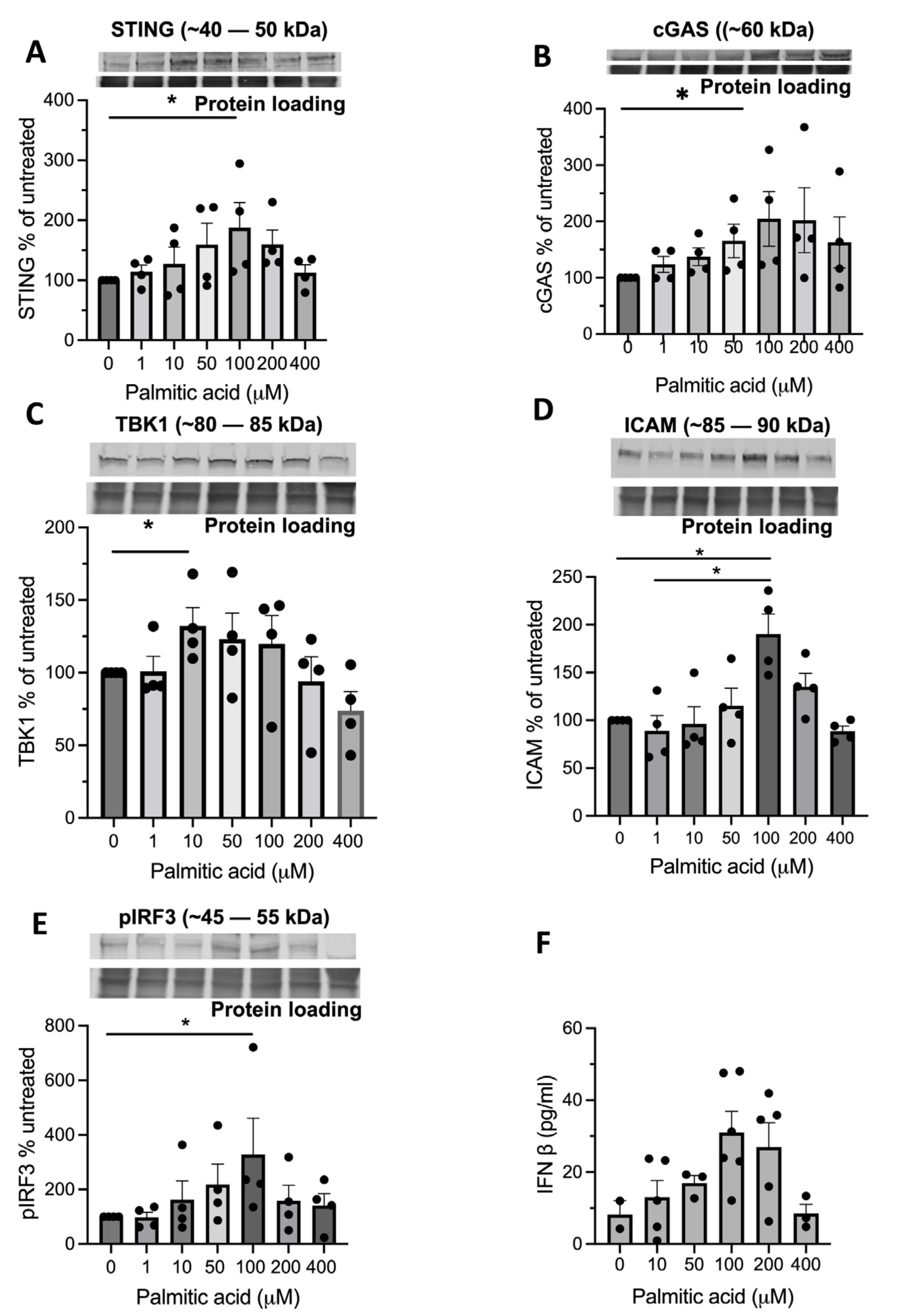 Biomedicines 11 01375 g007
