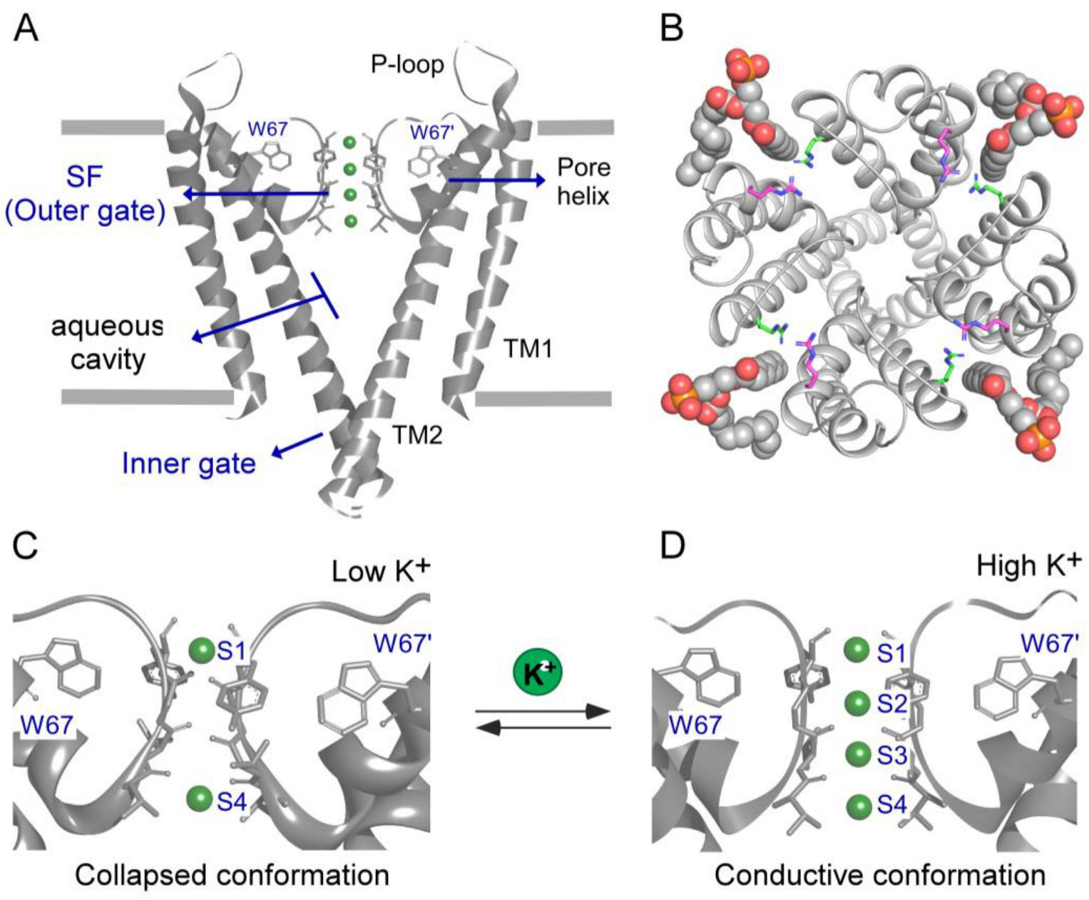 Biomedicines 11 01376 sch001 Biomedicines 11 01376 sch001