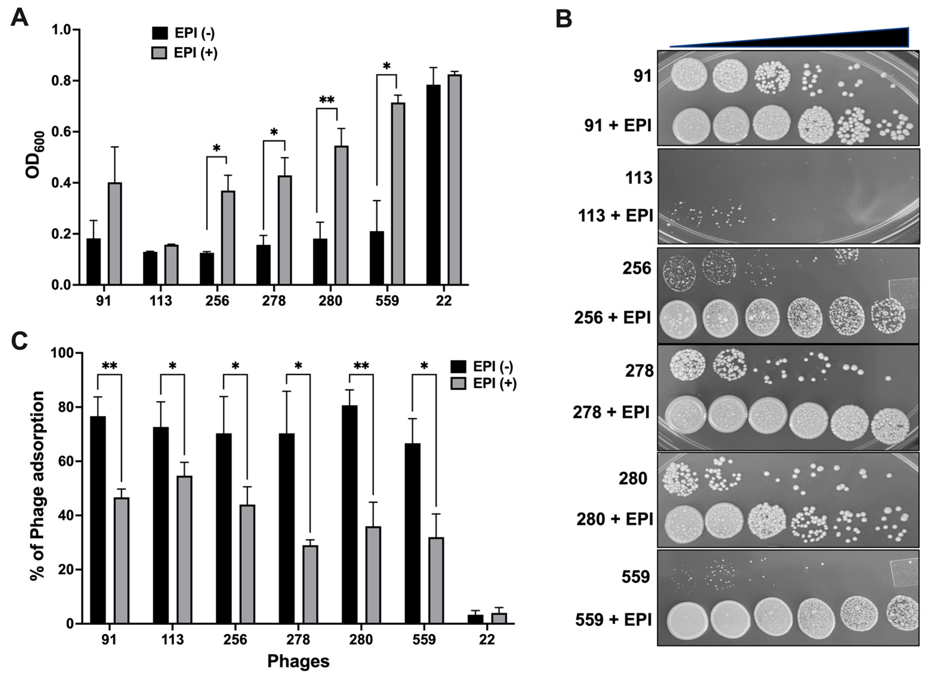 Biomedicines 11 01379 g005 Biomedicines 11 01379 g005