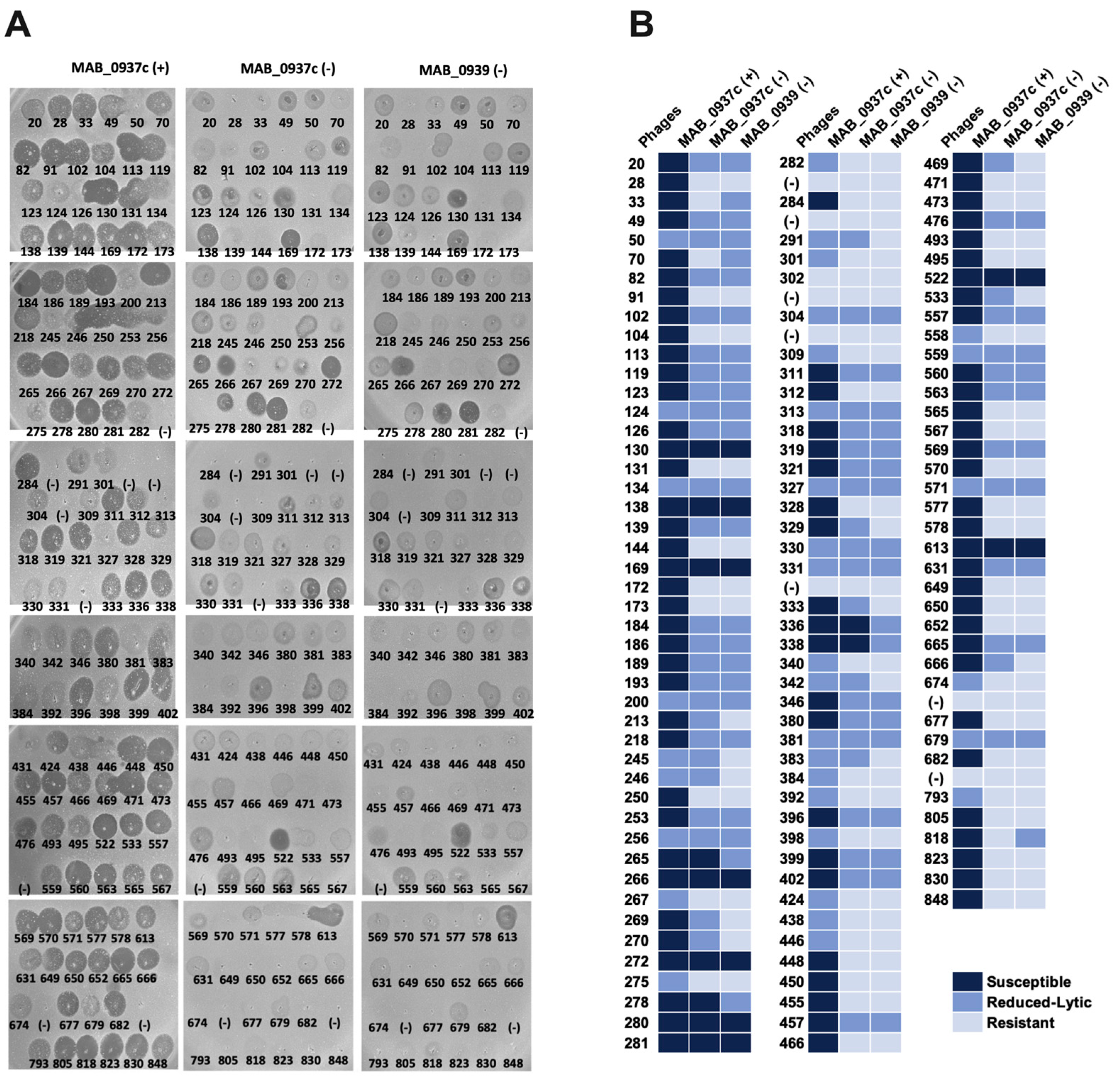 Biomedicines 11 01379 g007 Biomedicines 11 01379 g007