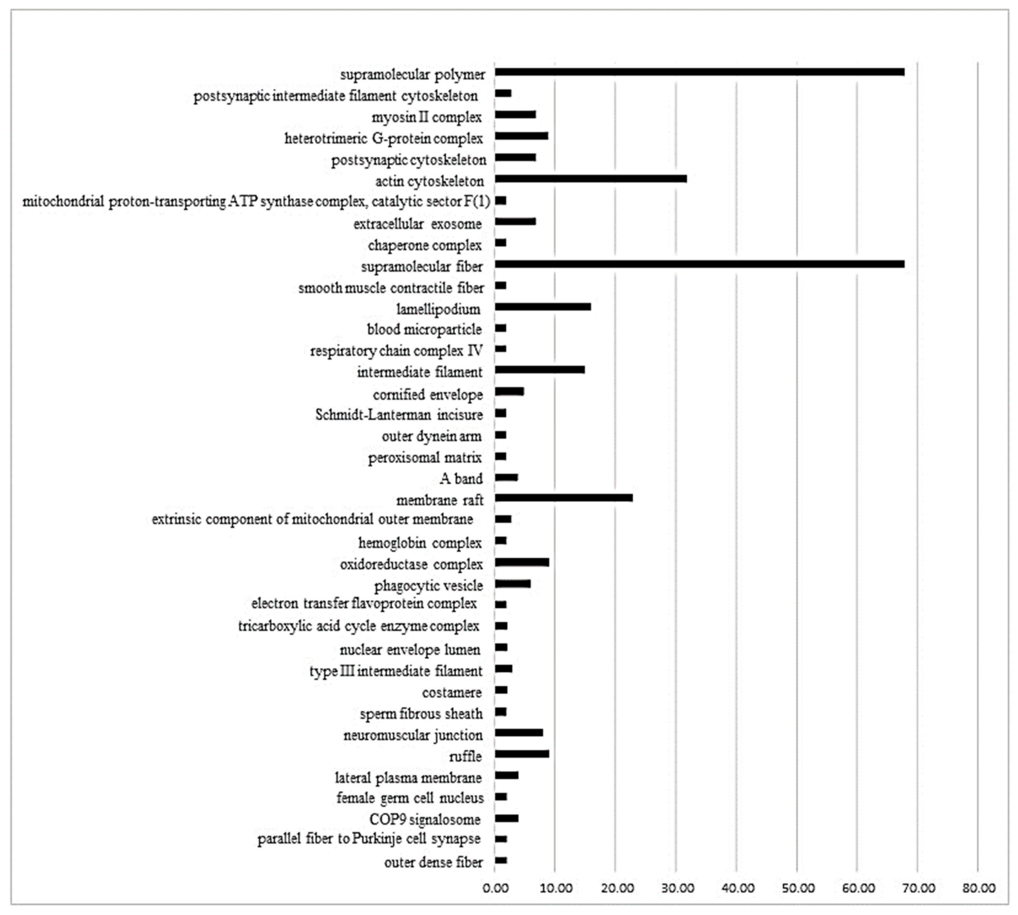 Biomedicines 11 01381 g002 Biomedicines 11 01381 g002