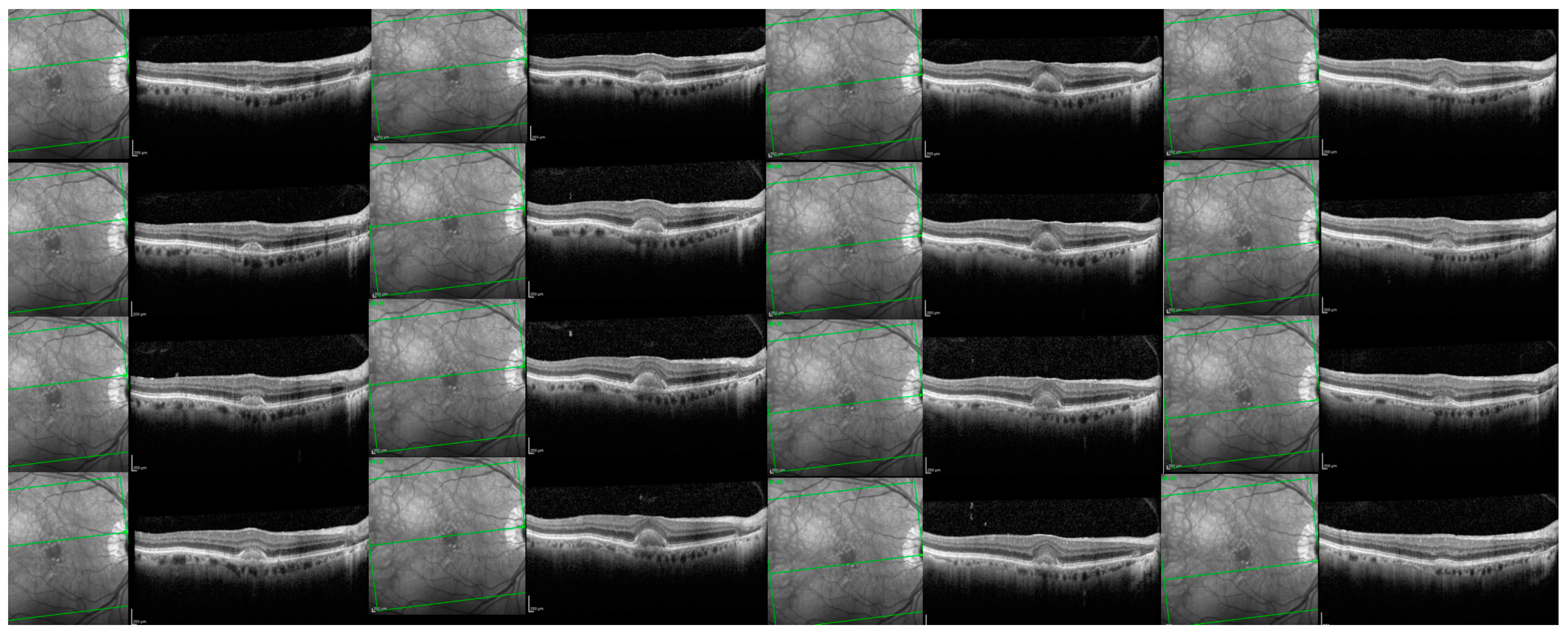Biomedicines 11 01382 g003