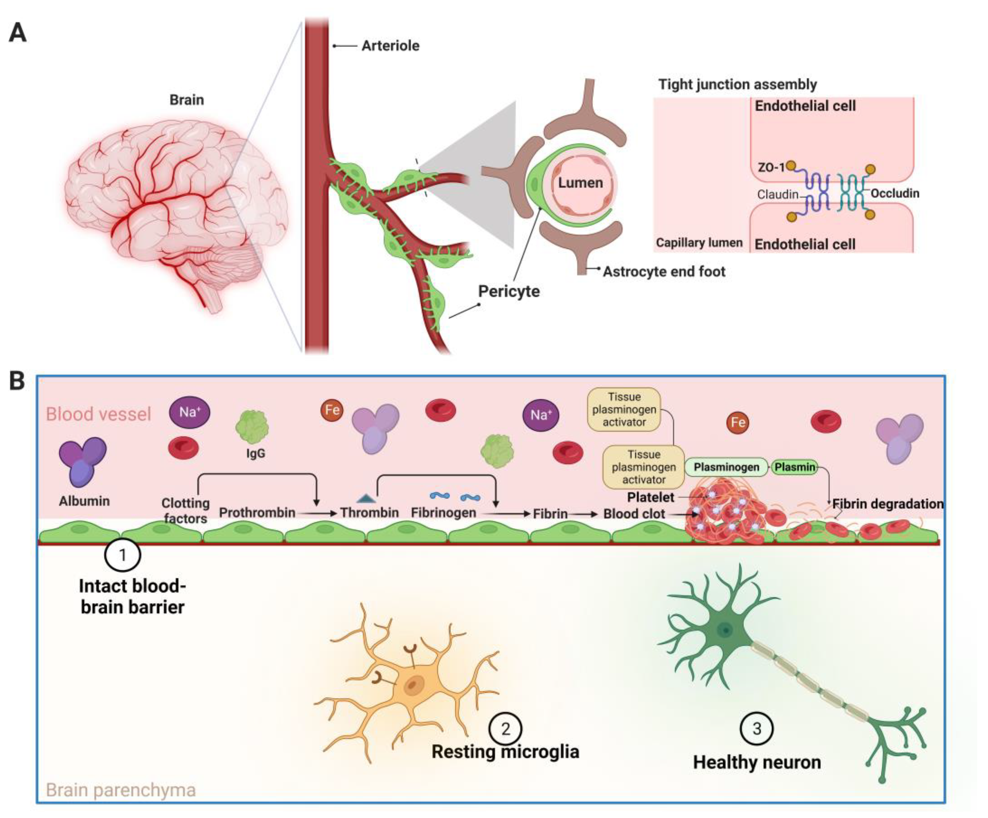 Biomedicines 11 01383 g002 Biomedicines 11 01383 g002
