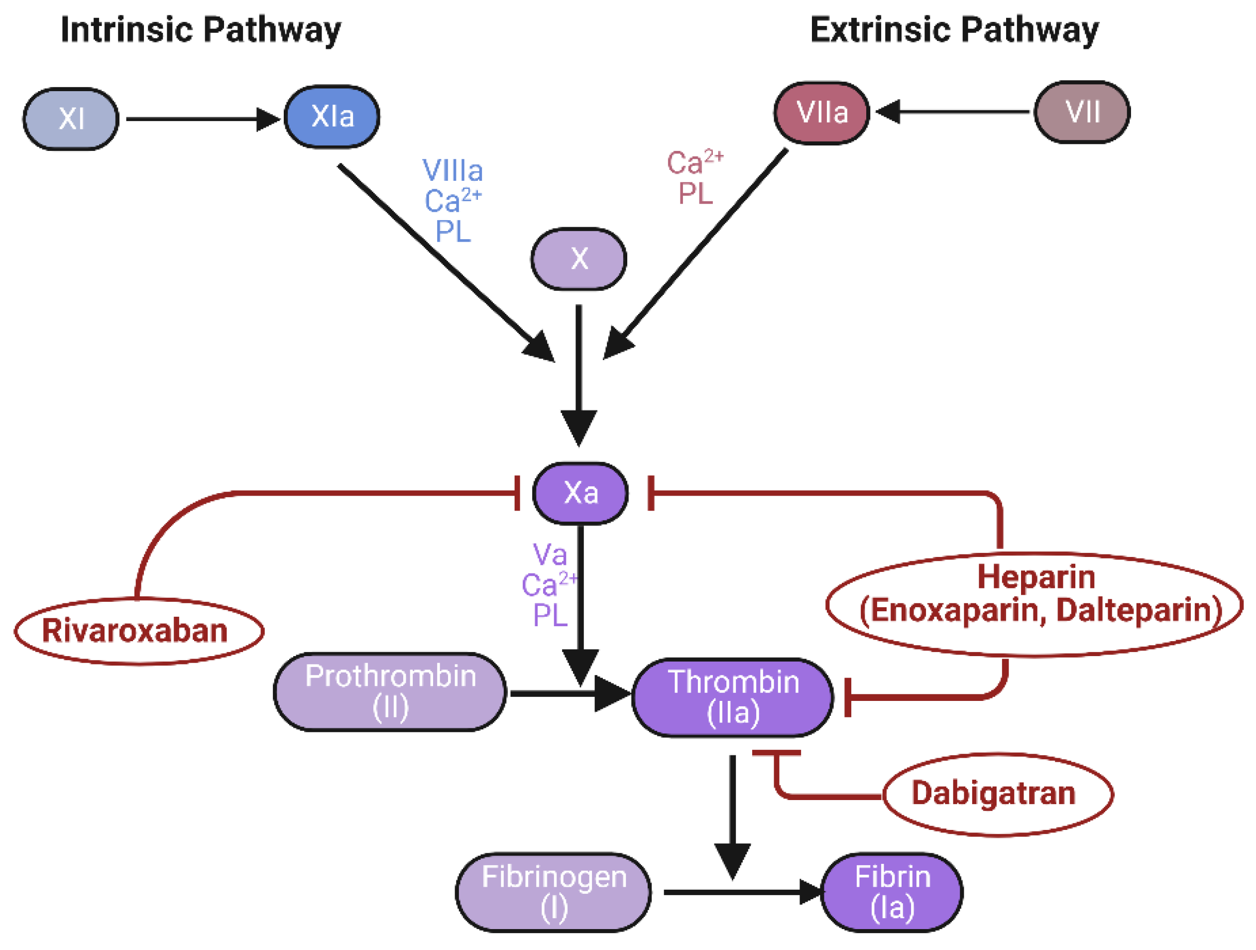 Biomedicines 11 01383 g004 Biomedicines 11 01383 g004