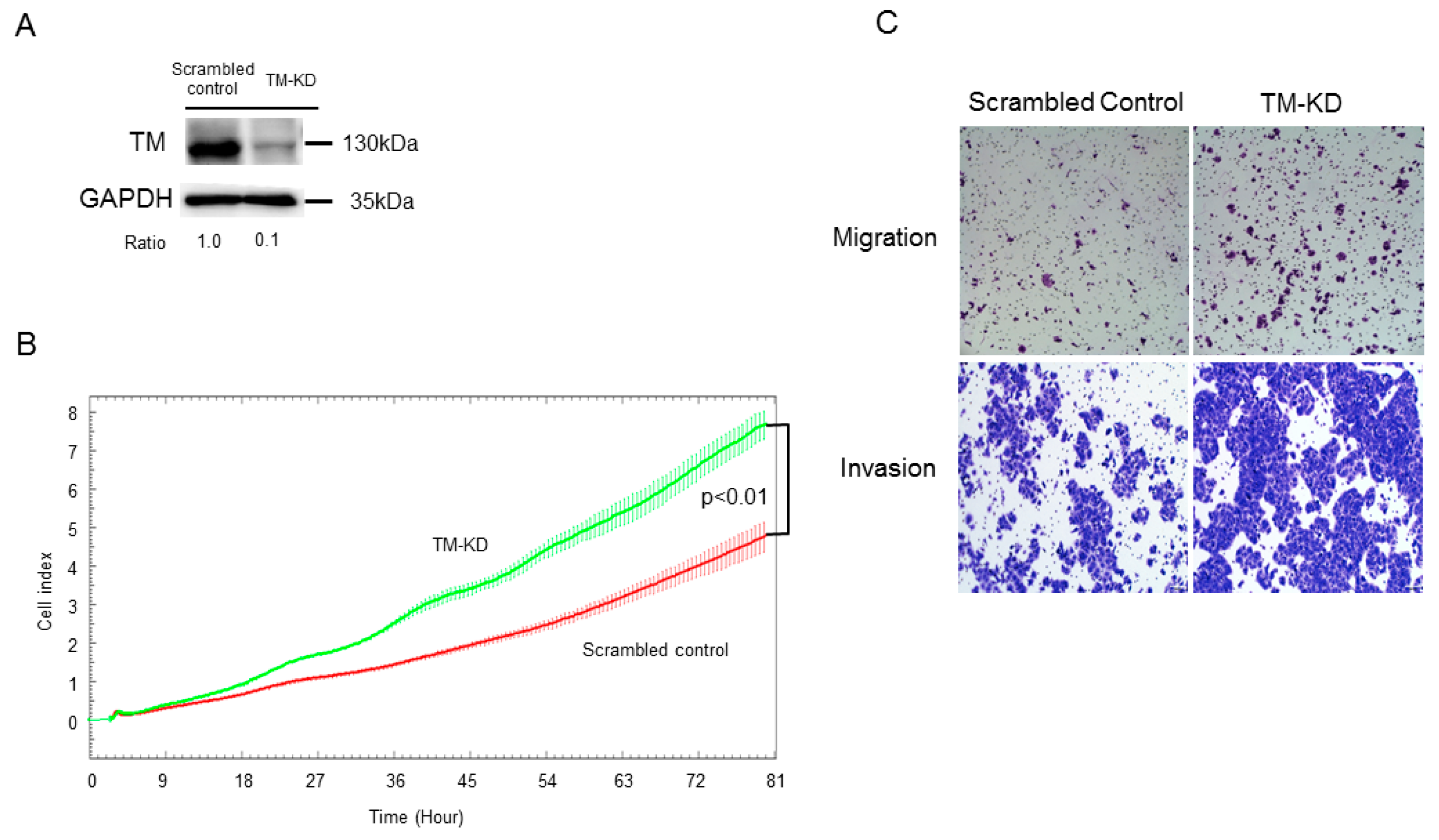 Biomedicines 11 01384 g002 Biomedicines 11 01384 g002