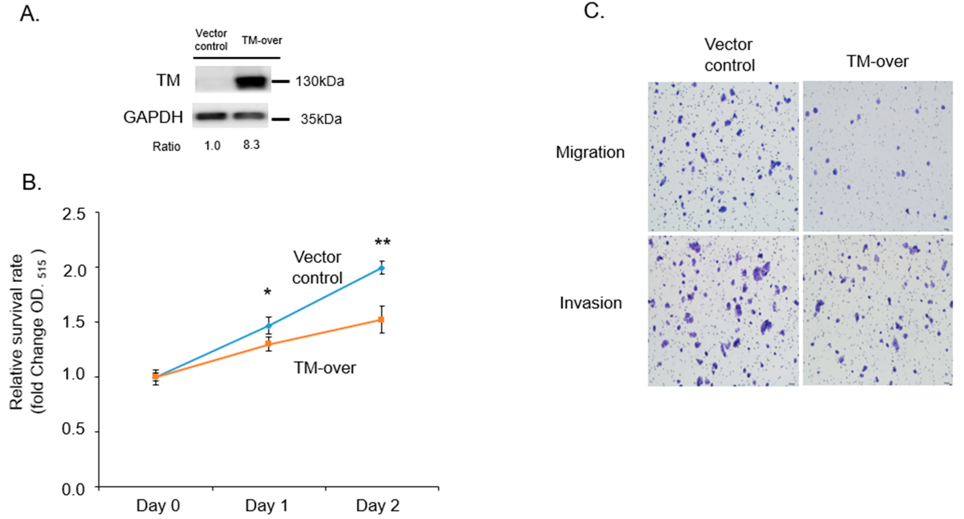 Biomedicines 11 01384 g003 Biomedicines 11 01384 g003