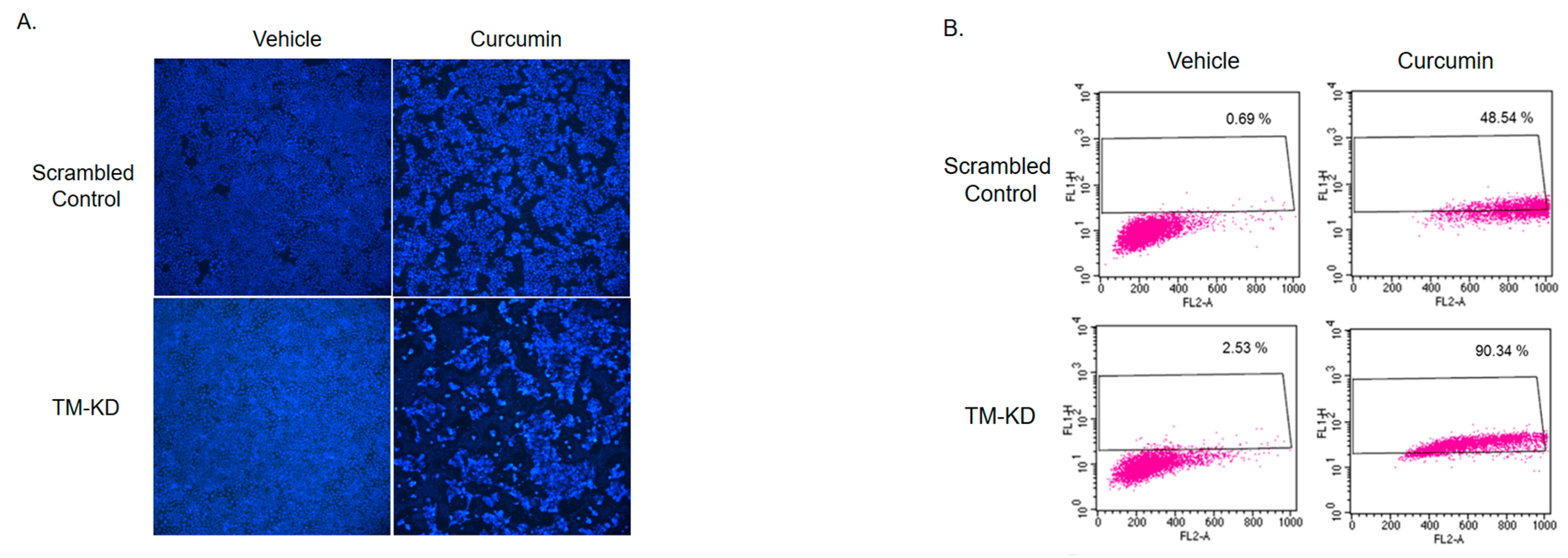 Biomedicines 11 01384 g006a Biomedicines 11 01384 g006a