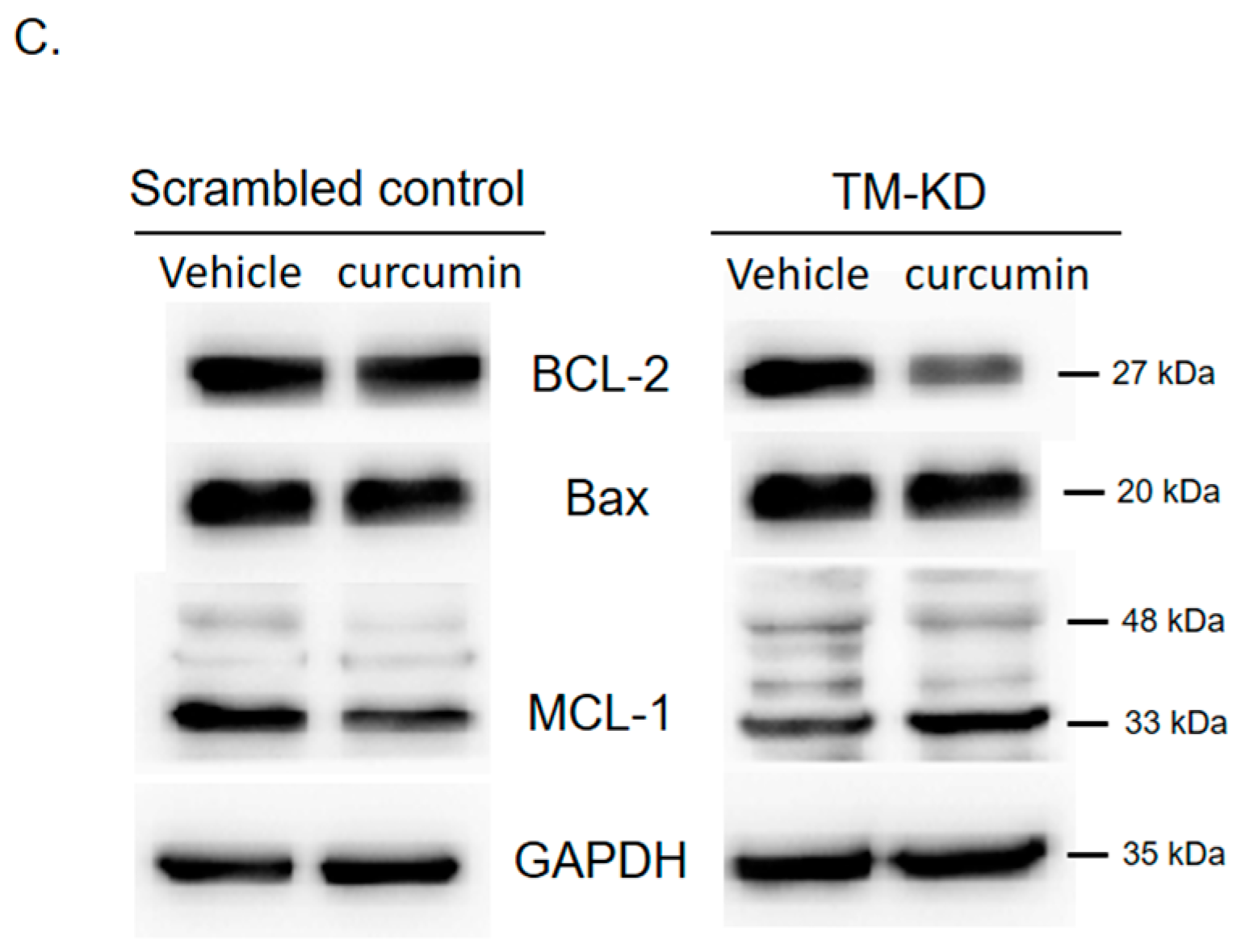 Biomedicines 11 01384 g006b Biomedicines 11 01384 g006b