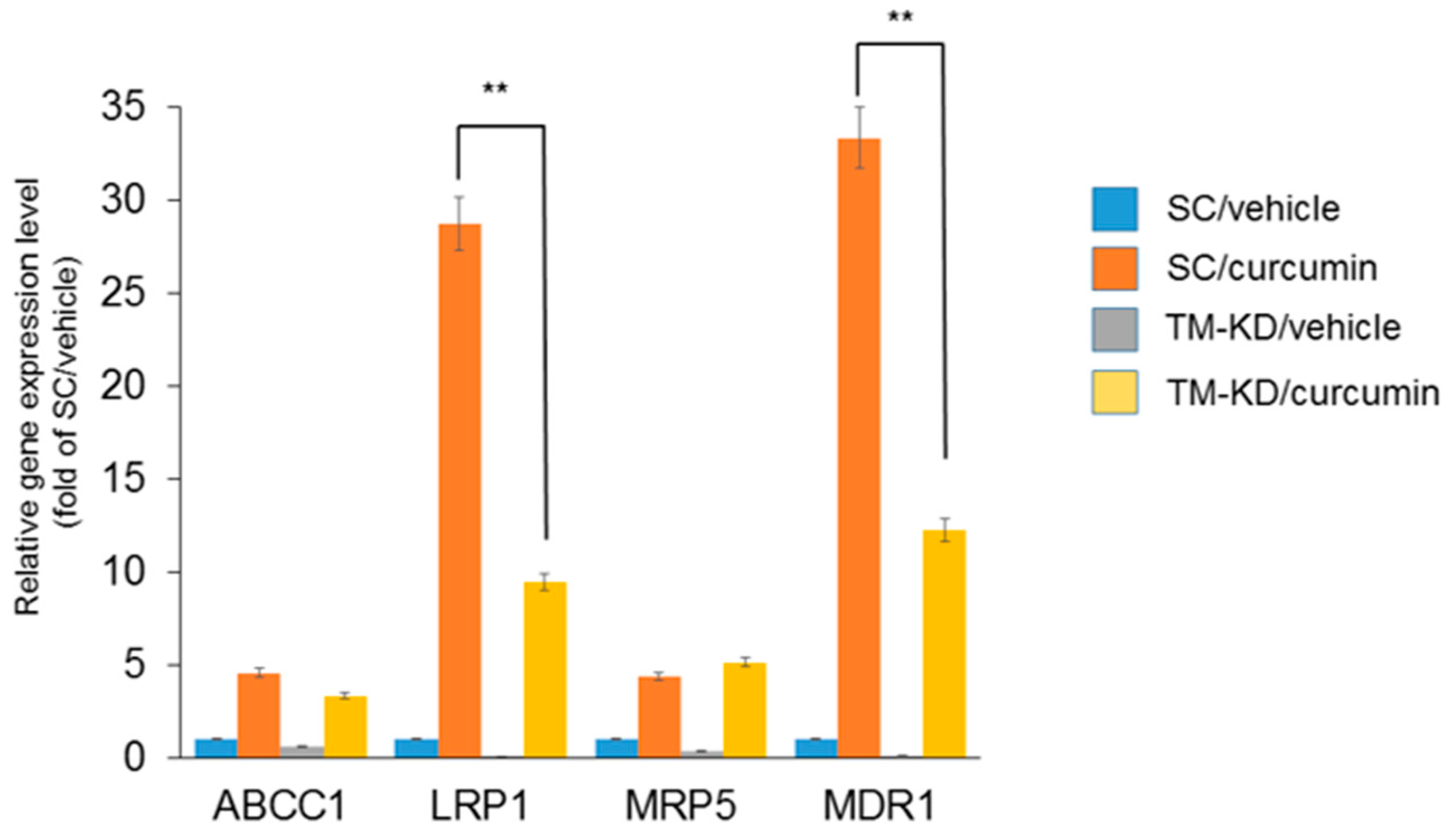 Biomedicines 11 01384 g007 Biomedicines 11 01384 g007