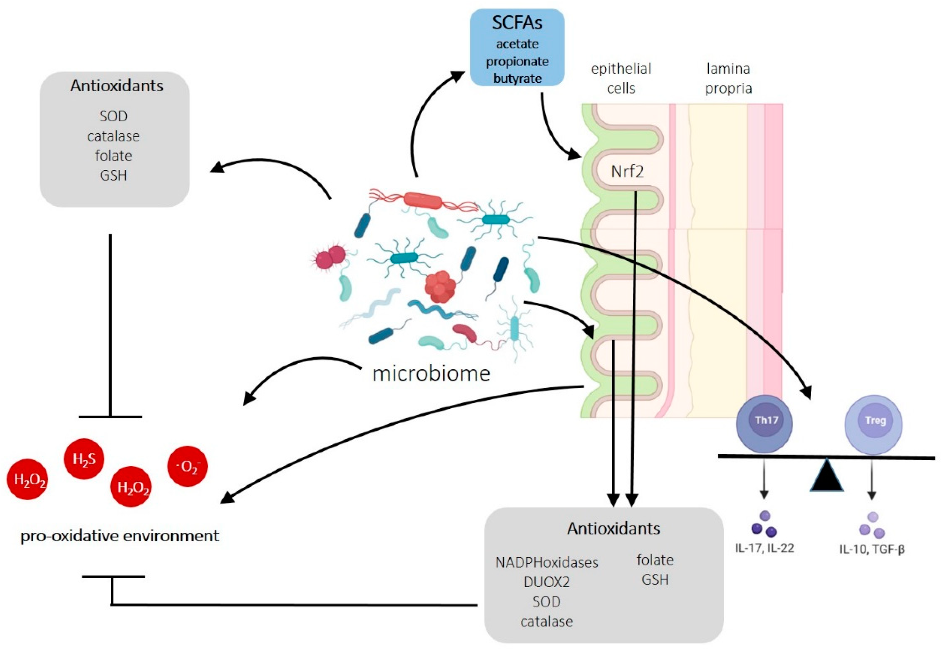 Biomedicines 11 01388 g003 Biomedicines 11 01388 g003