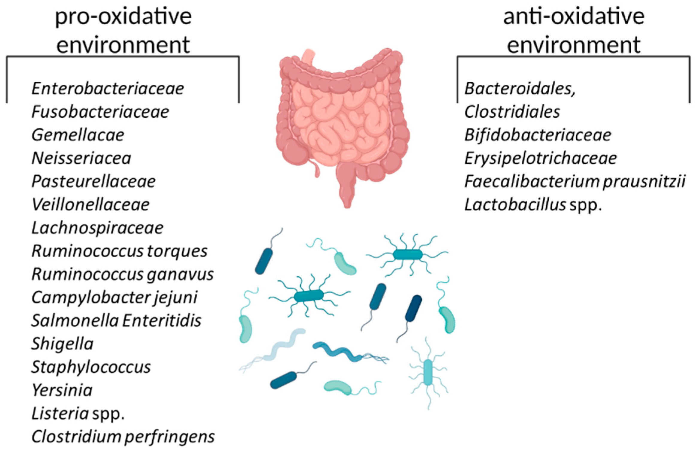 Biomedicines 11 01388 g004 Biomedicines 11 01388 g004