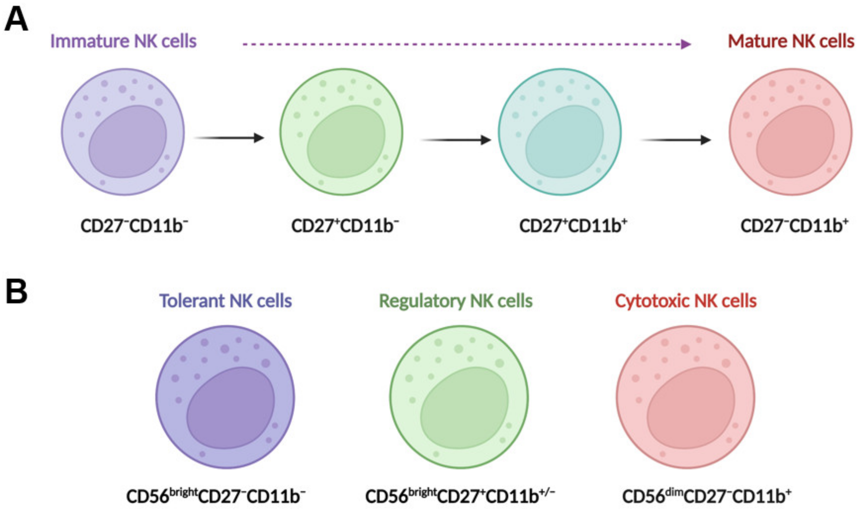 Biomedicines 11 01391 g001