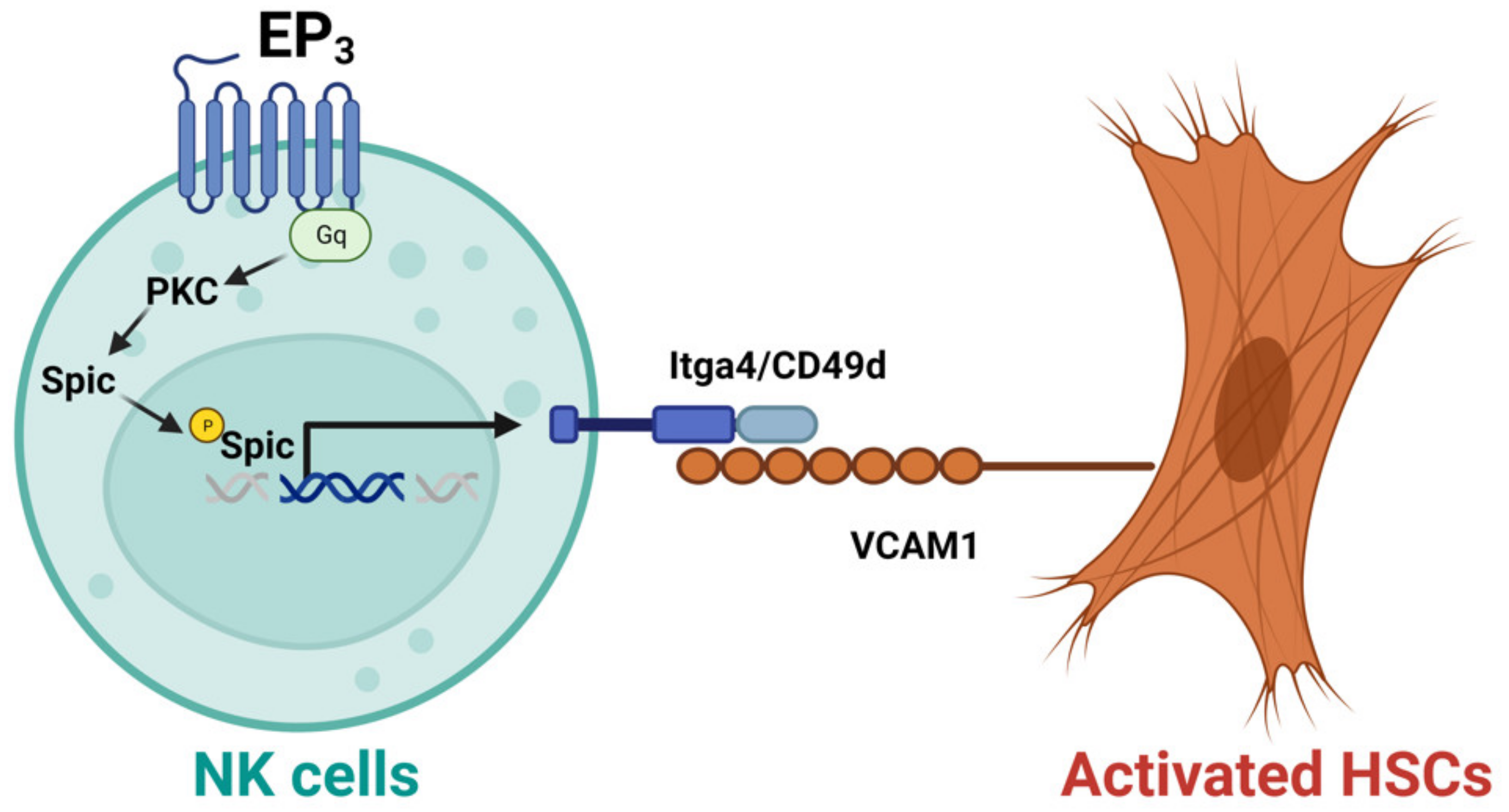 Biomedicines 11 01391 g002